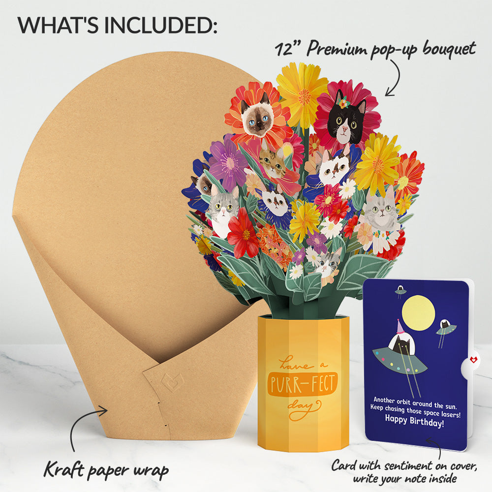 Purr-fect Cat Birthday Bouquet and Space Laser Cats Sentiment Set、mySite、solidvoid