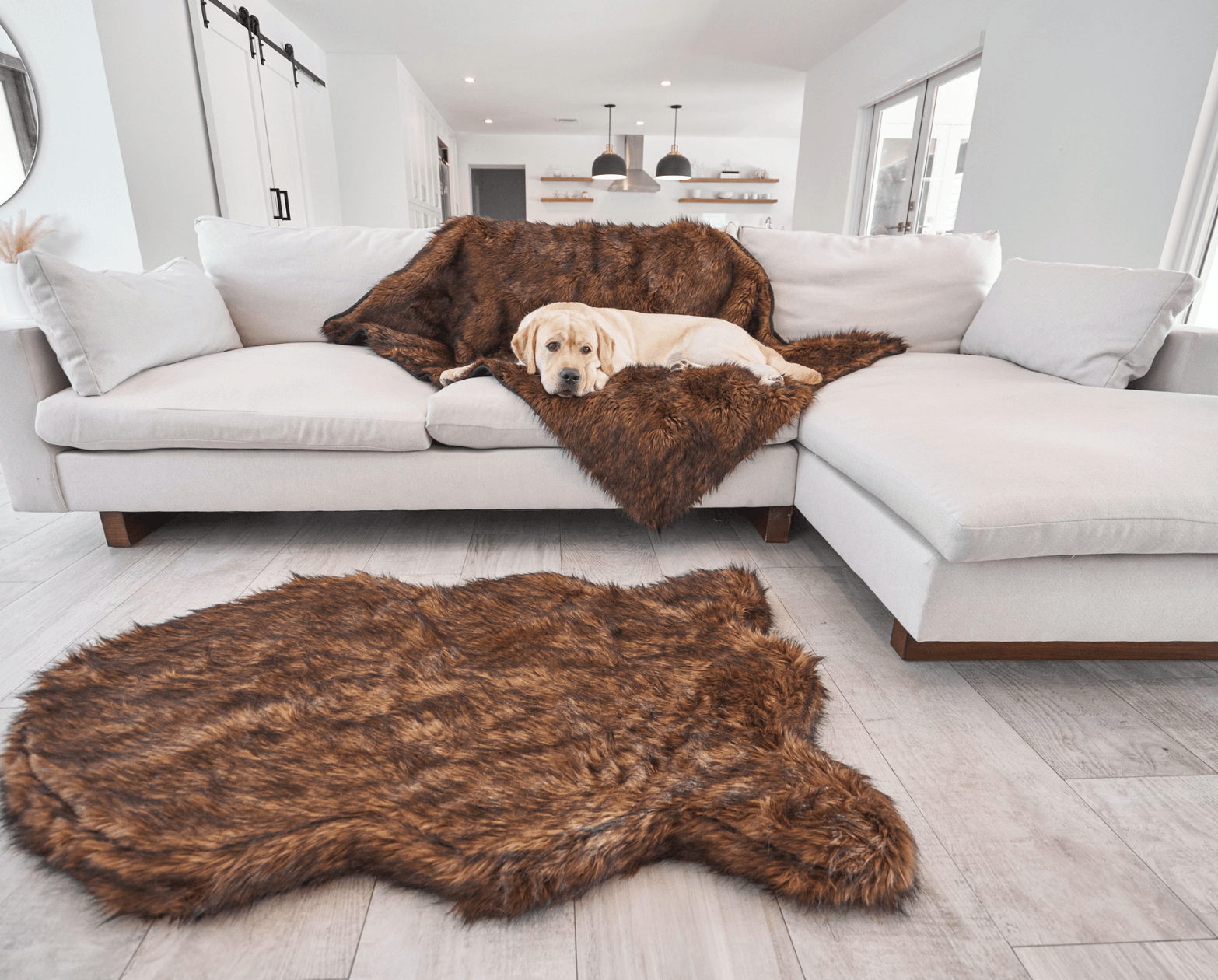 PupRug™ Orthopedic Bed + Matching Waterproof Blanket Bundle - Brown、mySite、solidvoid