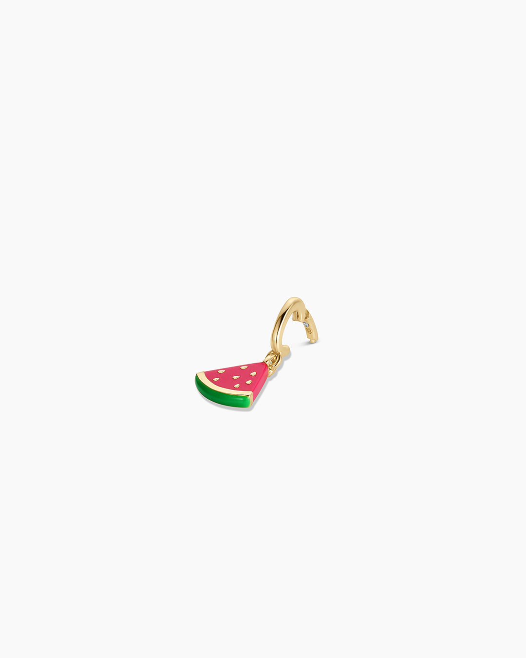 Watermelon Parker Charm、mySite、hinf8tx79