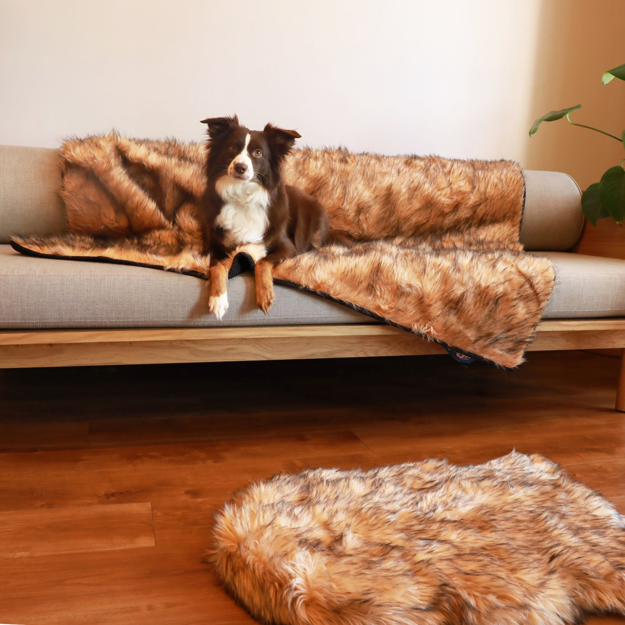 PupRug™ Orthopedic Bed + Matching Waterproof Blanket Bundle- Sable Tan、mySite、solidvoid