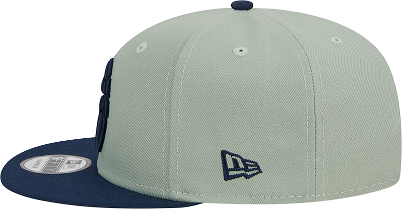 9FIFTY Colour Pack Snapback - GREEN/BLUE