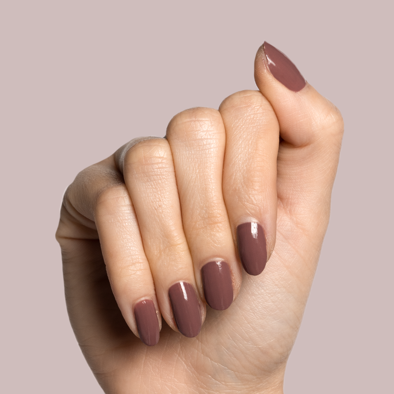 Shacket、mySite、solidvoid