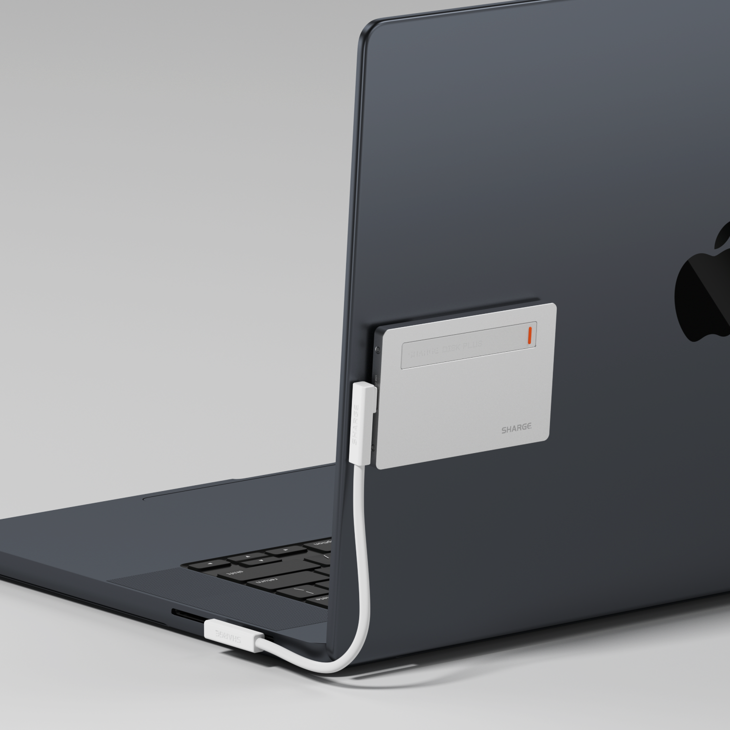 Disk Plus、mySite、fannypackpong