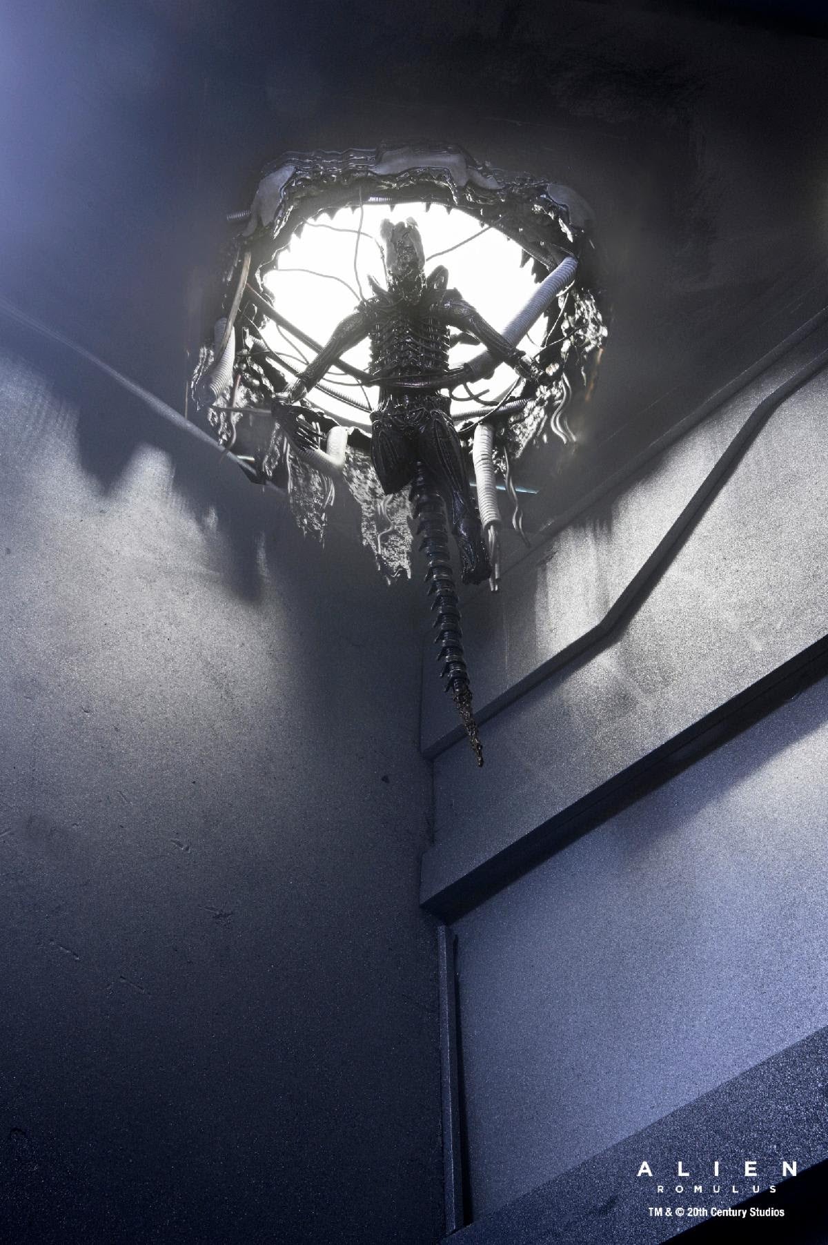 NECA Alien: Romulus Deluxe Suspended Lab Xenomorph XX121、mySite、hgirdovlk