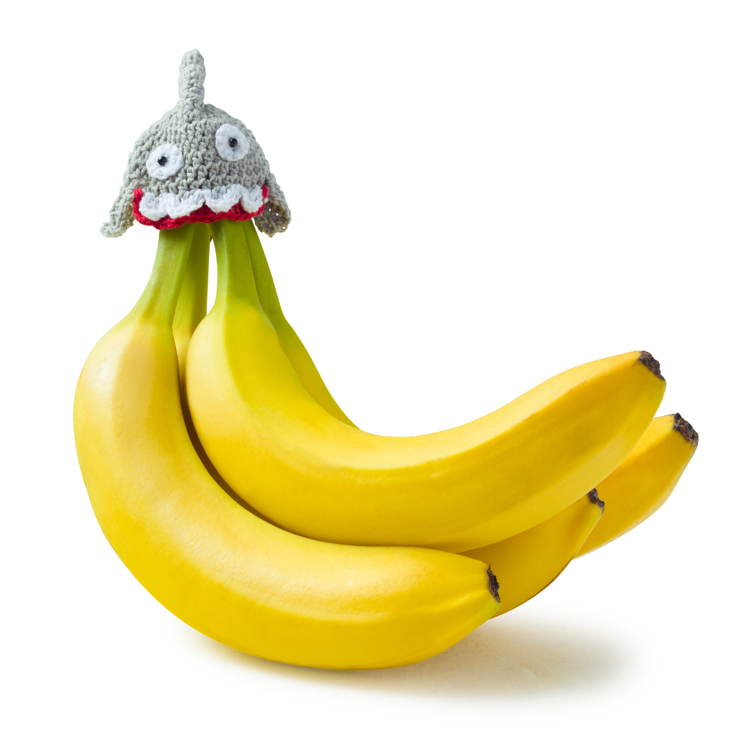 Shark Nana Hat | Includes 2 Stretchy Silicone Caps with Magnets、mySite、hinf8tx79