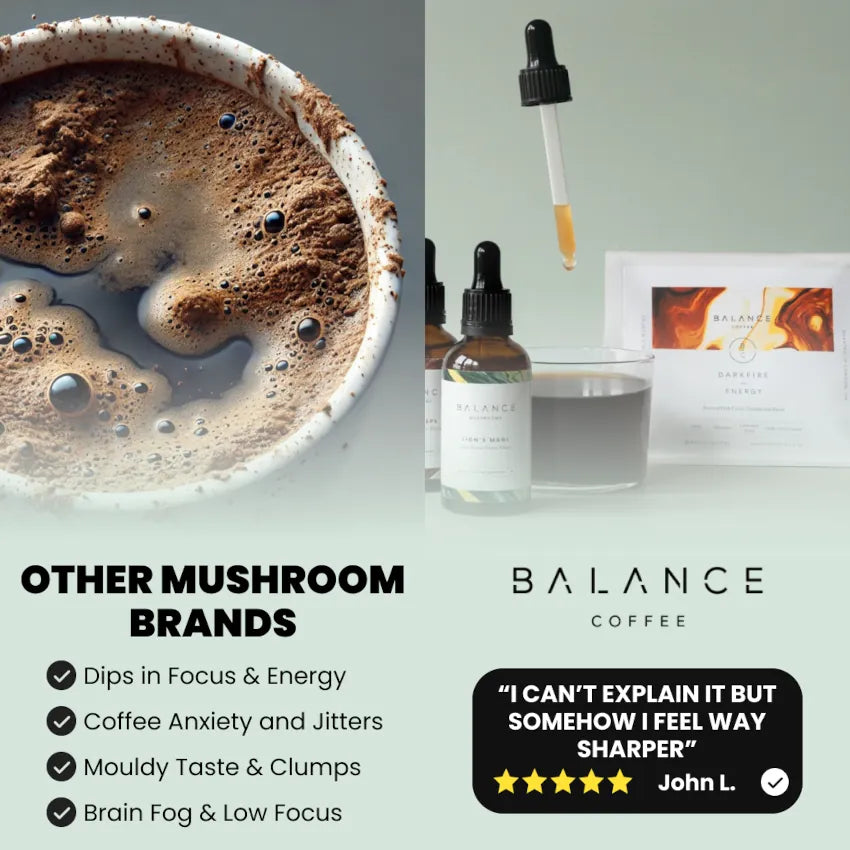 Mushroom Coffee Focus & Energy Bundle、mySite、gigharbornorthrealestate