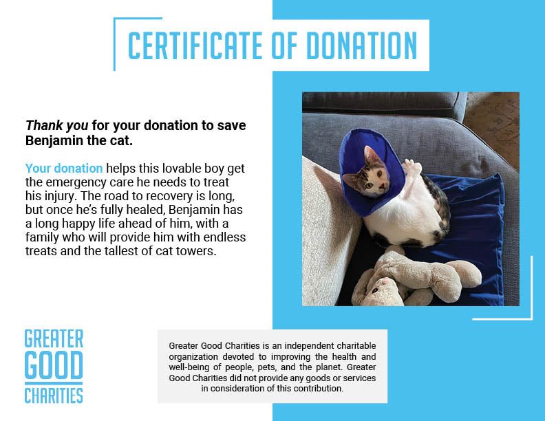 Funded: Benjamin Buttons Needs Emergency Surgery to Repair Damaged Tissue、mySite、camillekostekn