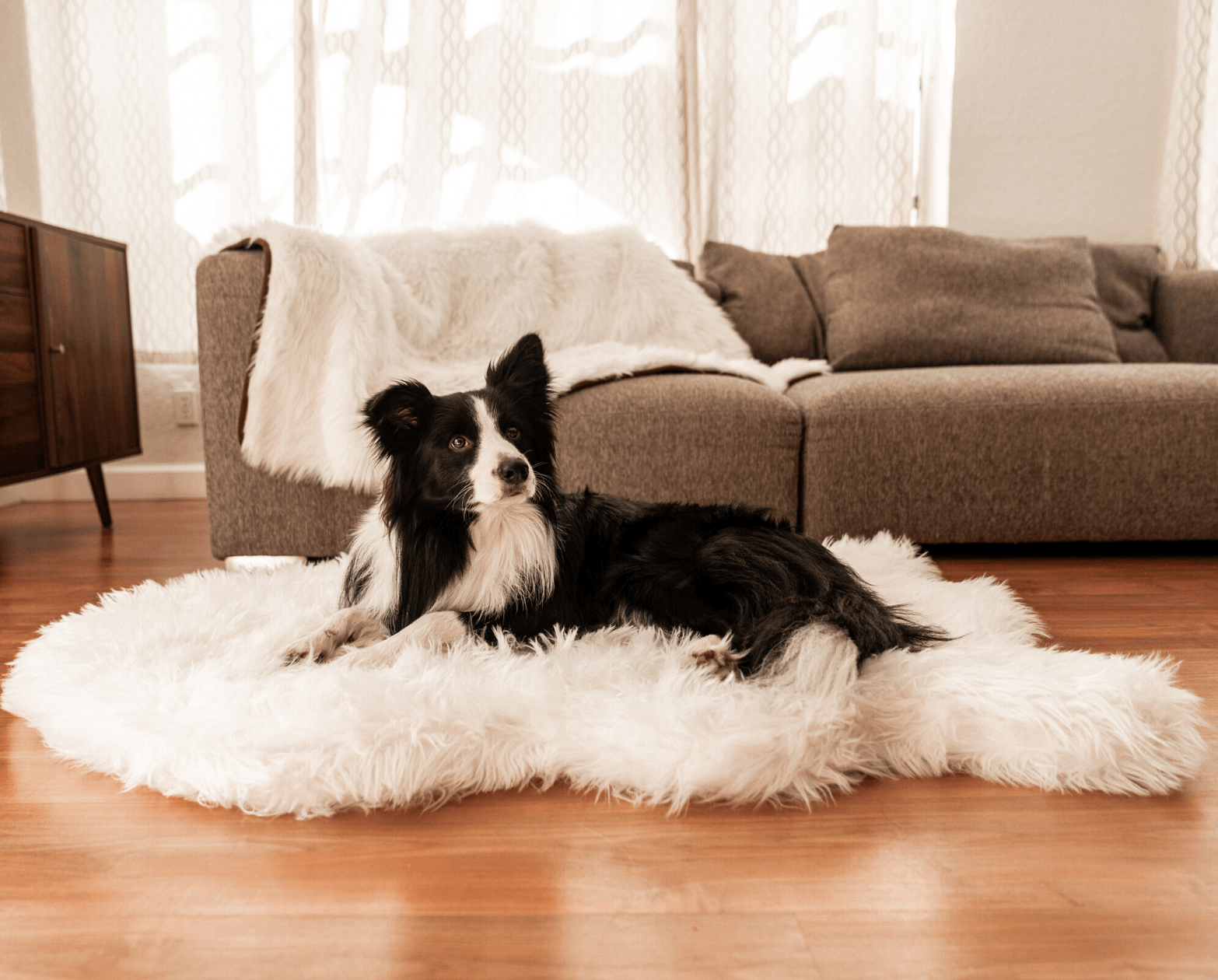 PupRug™ Orthopedic Bed + Matching Waterproof Blanket Bundle - Polar White、mySite、solidvoid