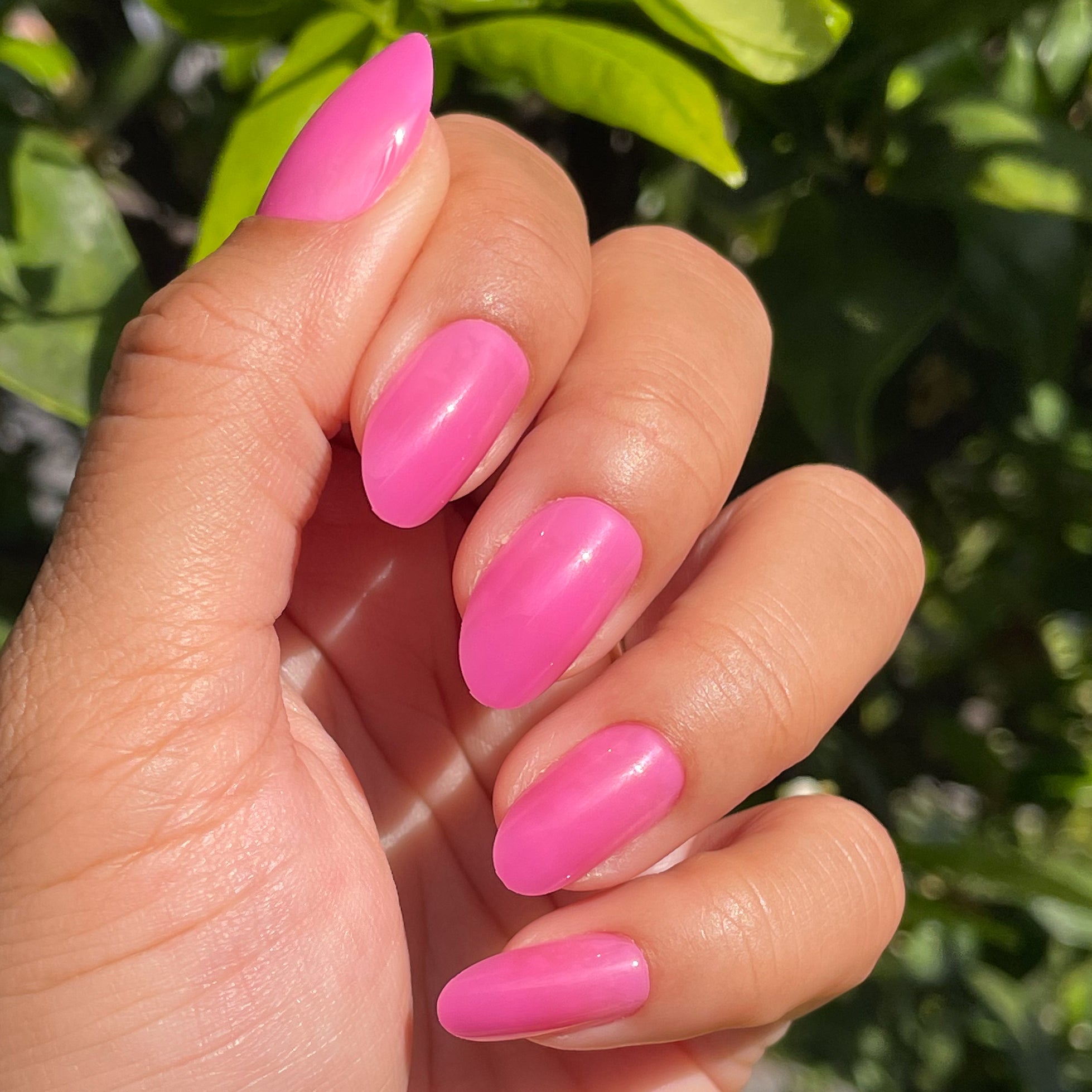 How Do You Spell Bougainvillea? - Press-On | Medium | Oval、mySite、solidvoid