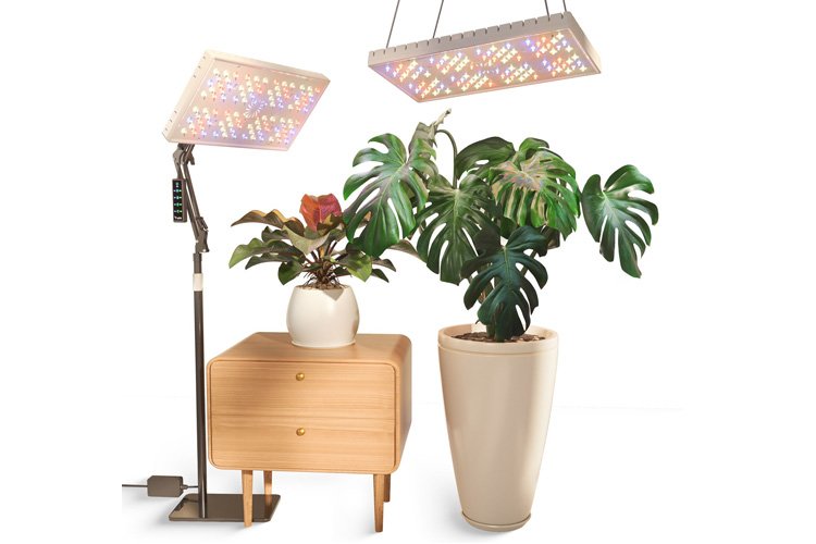 LetPot Smart Indoor 48W Grow Lights Full Spectrum、mySite、camillekostekn