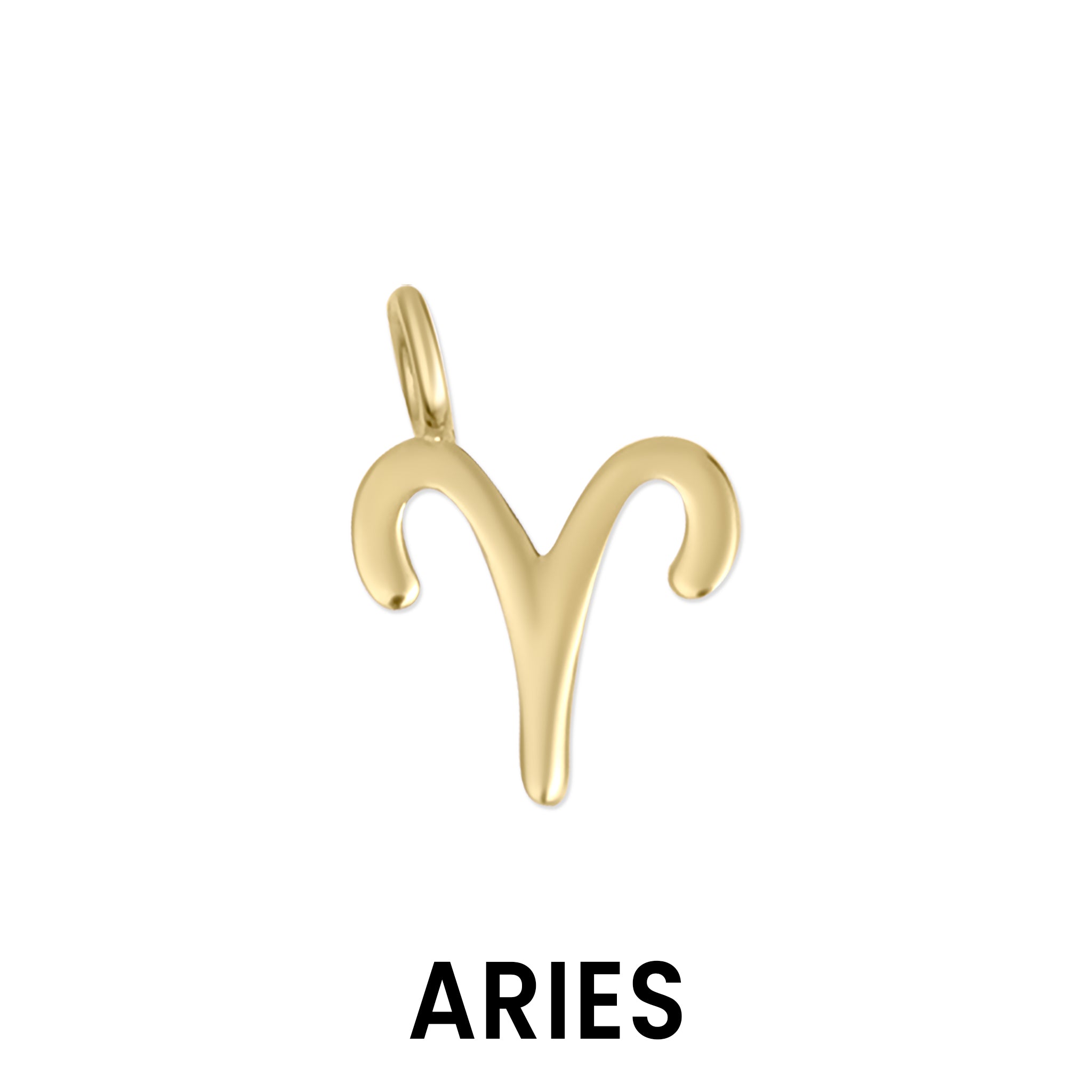 Permanent Jewelry 14K Solid Gold Zodiac Charms / PMJ1017、mySite、dreamappss