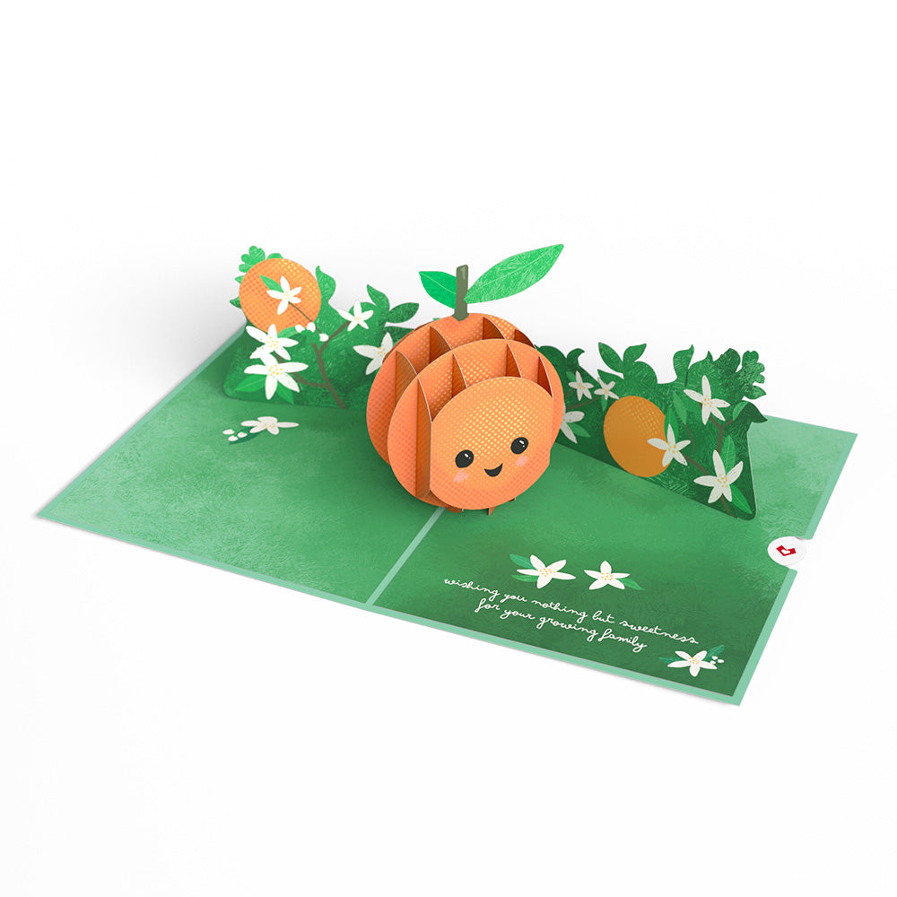 Congratulations On Your Cutie New Baby Pop-Up Card、mySite、solidvoid