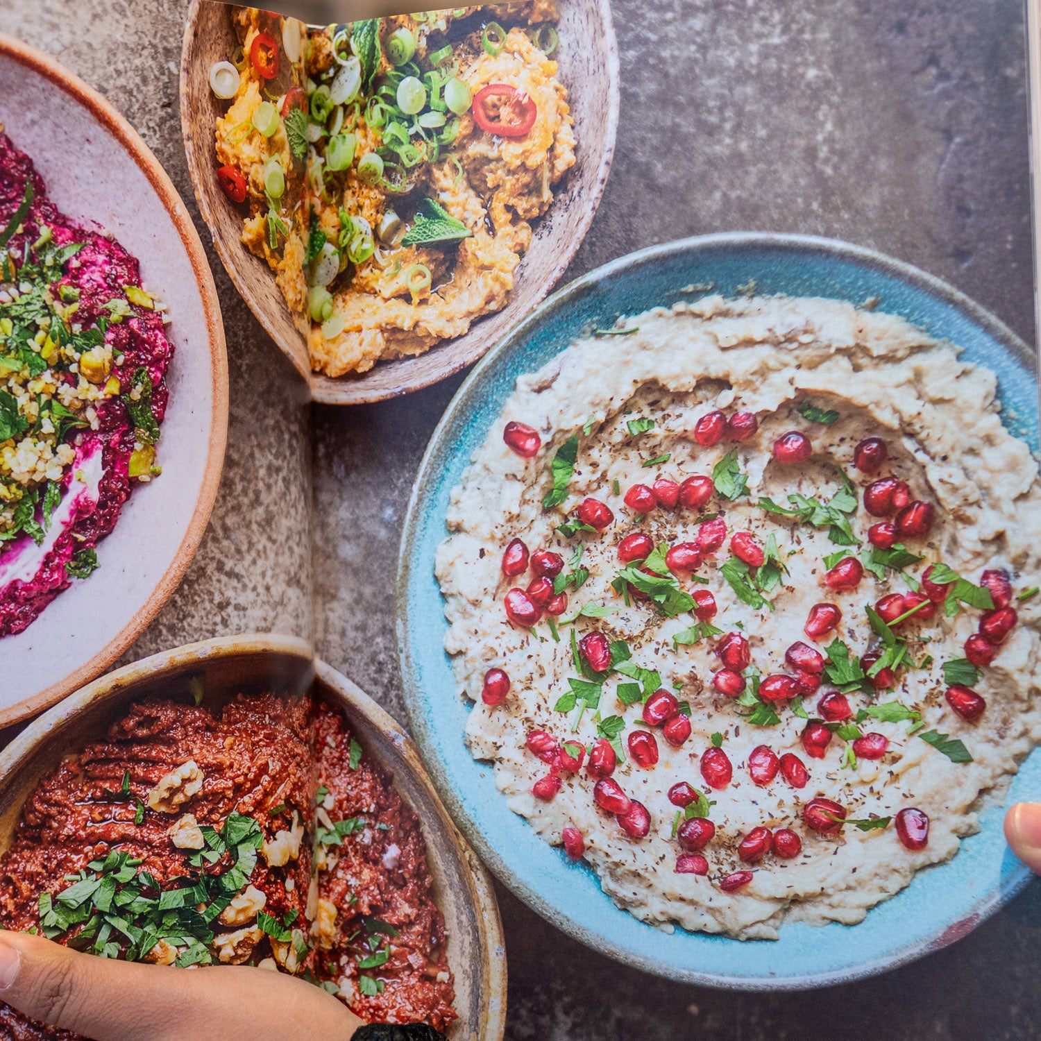 Falastin: A Cookbook、mySite、topwebapps