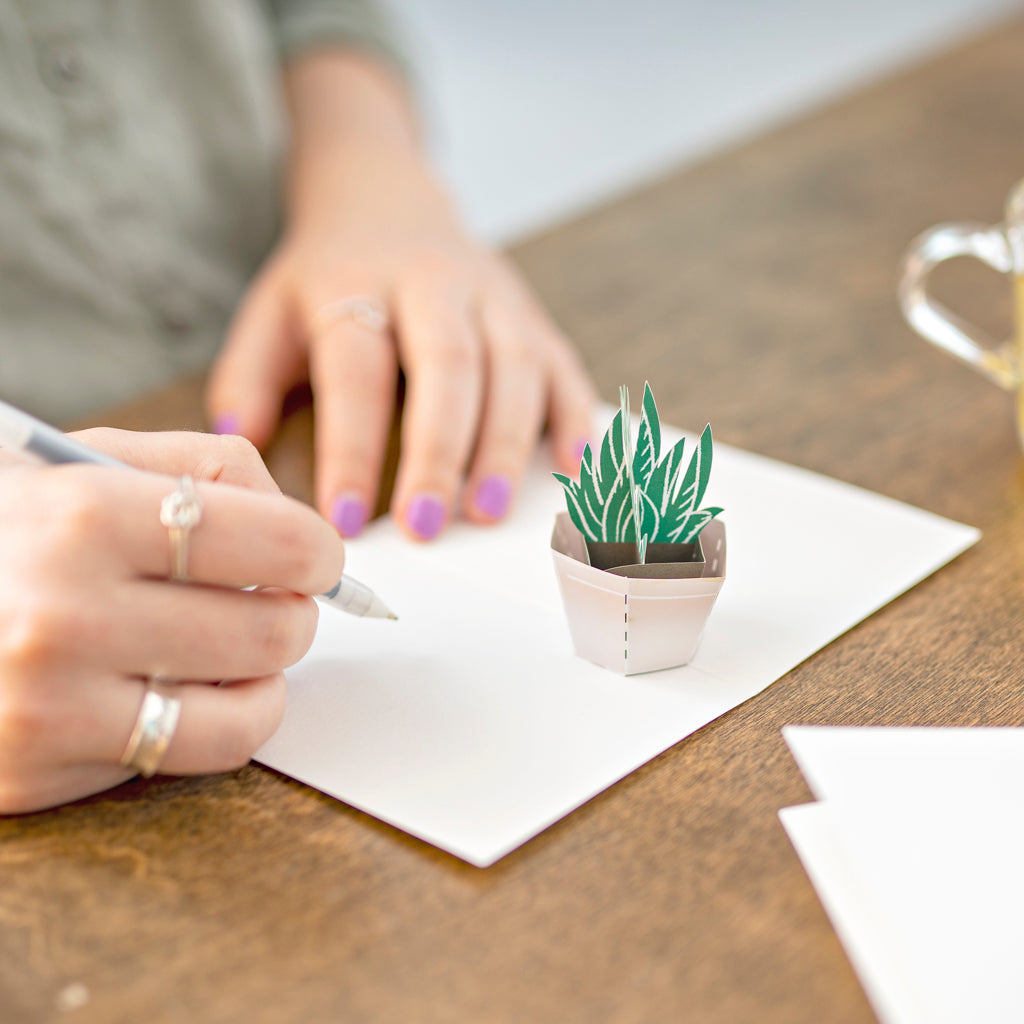 Succulent Notecards (Assorted 4-Pack)、mySite、solidvoid