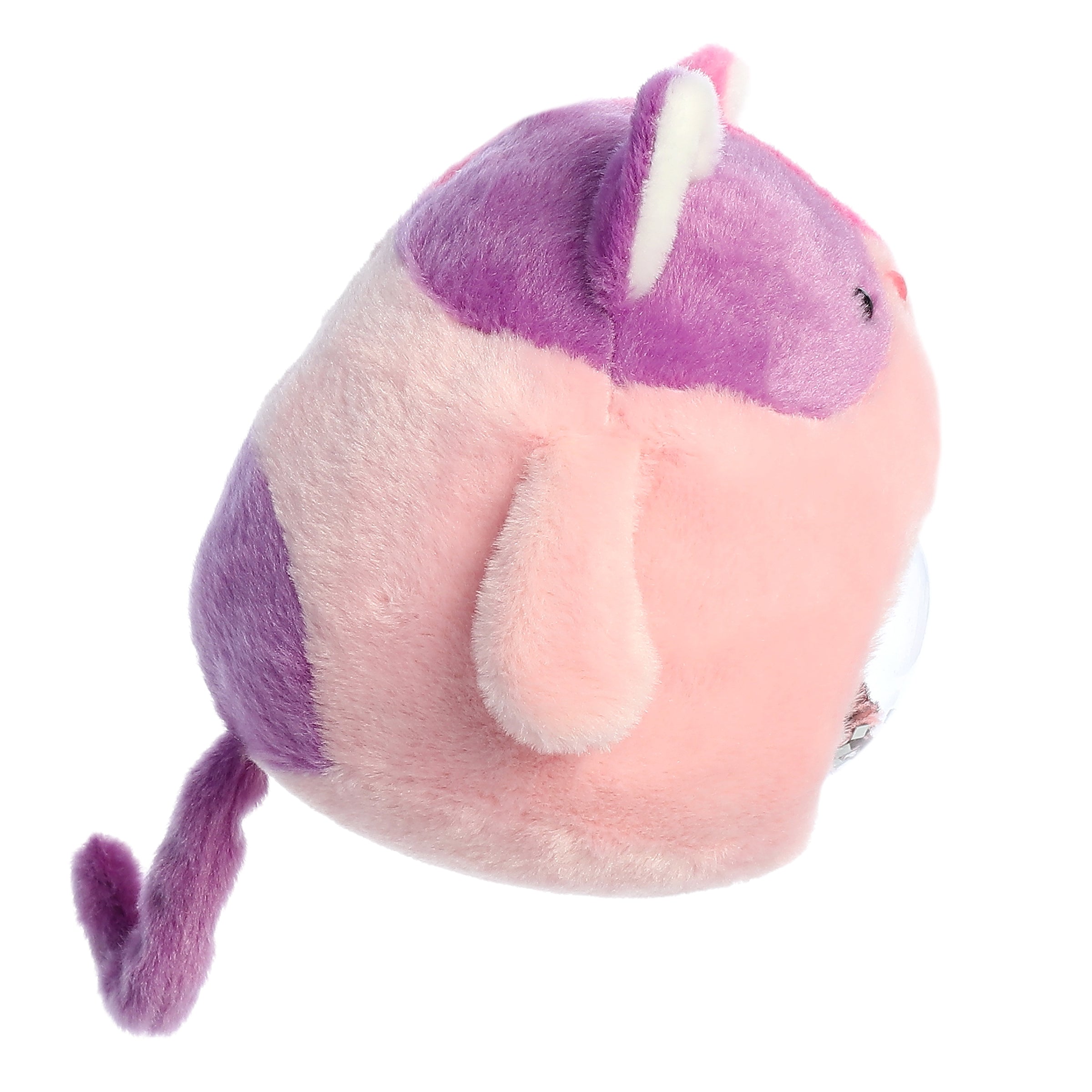 Aurora® - Shaker - 5 Love Cat、mySite、g9winljtr