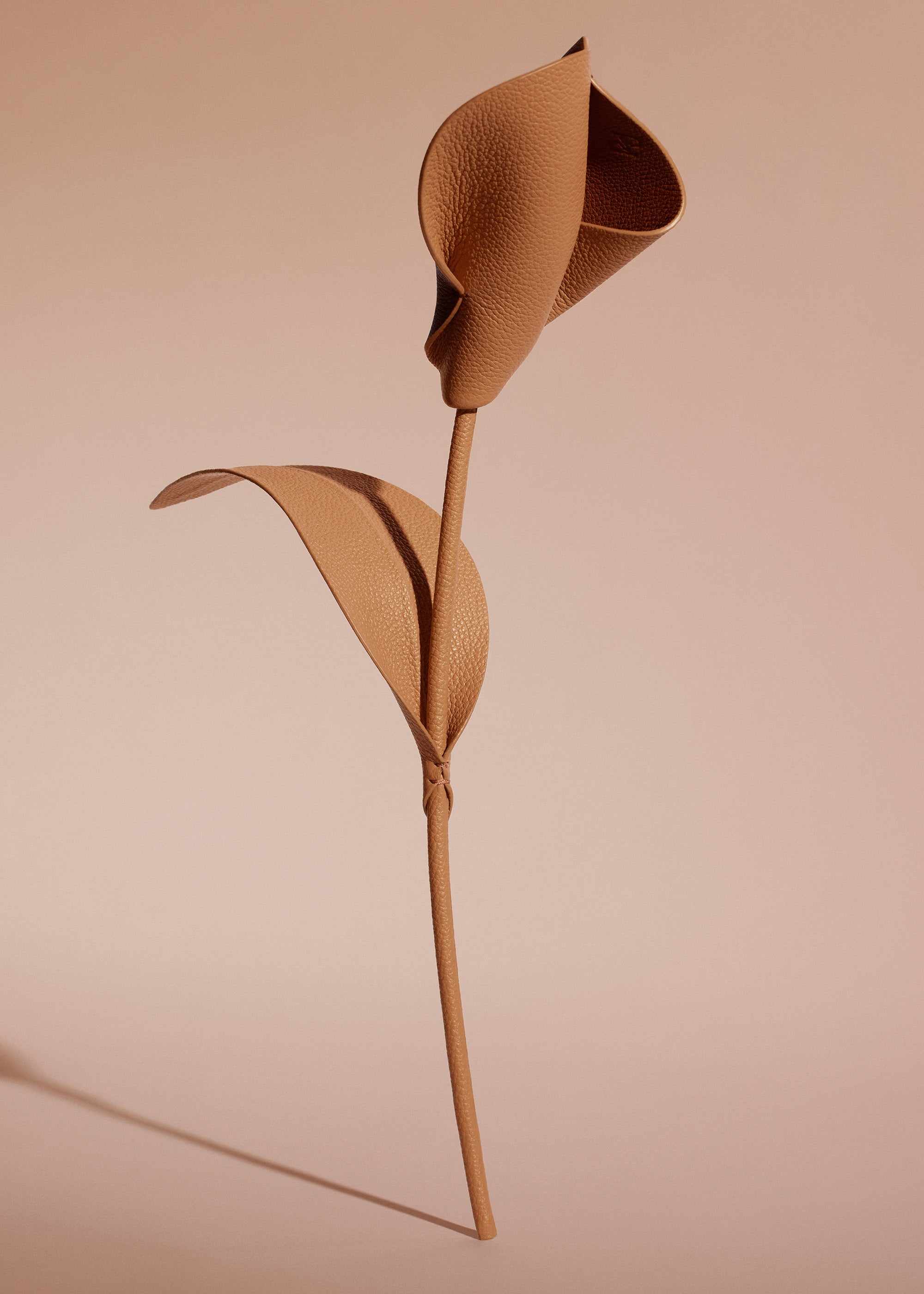 Fleur Pili - Duo Tan Grain茅、mySite、camillekostekn