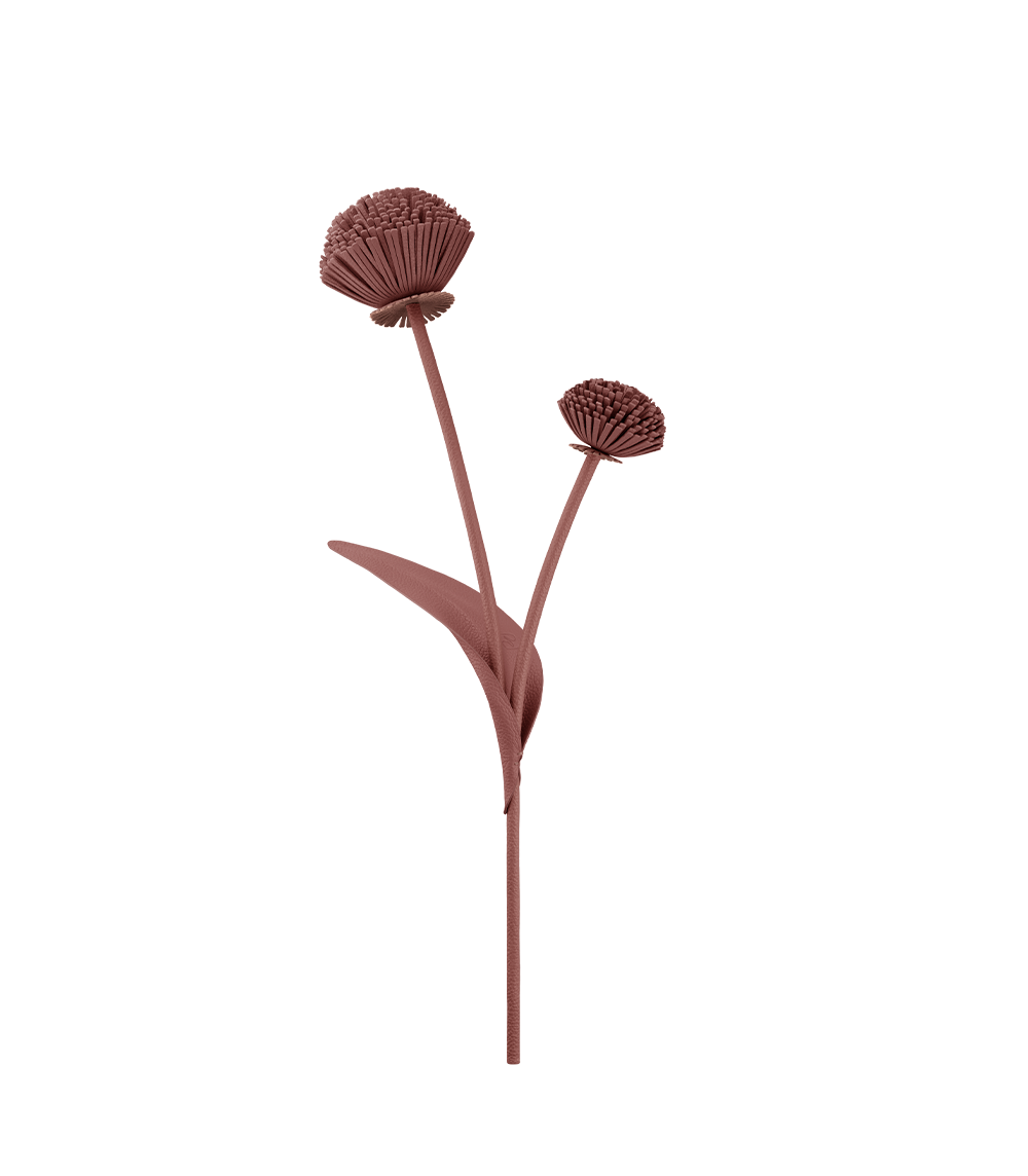 Fleur Tul - Duo Blush Grain茅、mySite、camillekostekn