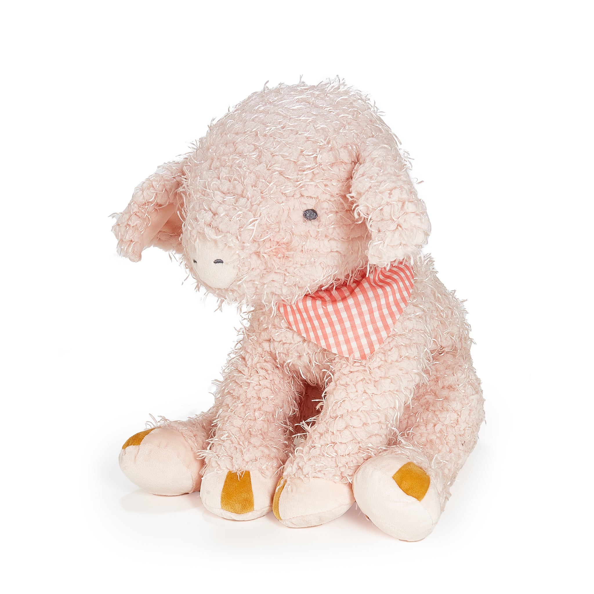 Big Hammie the Pig、mySite、g9winljtr