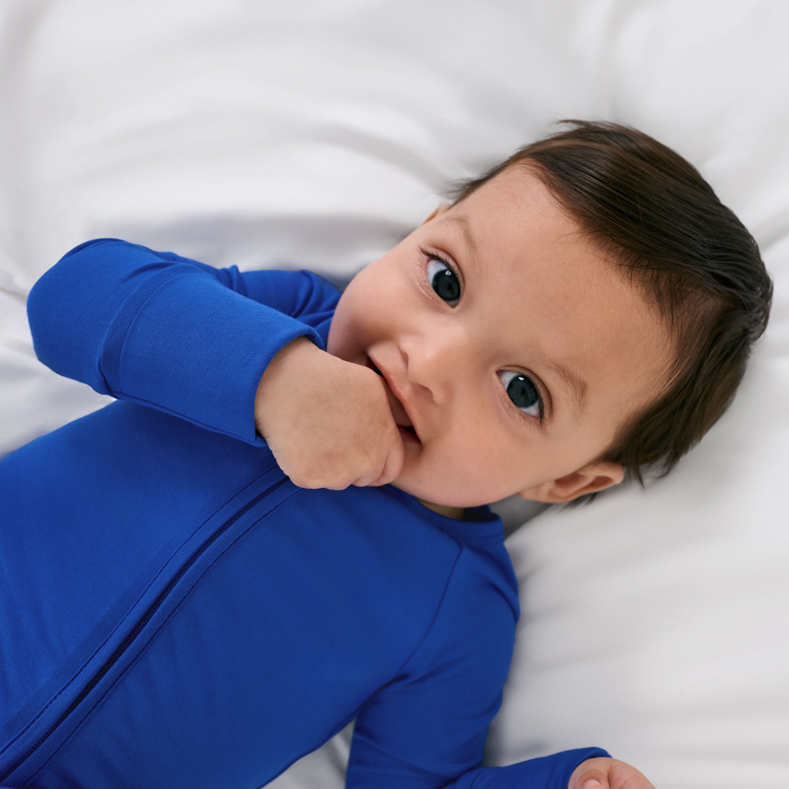 Electric Blue Zippy、mySite、g9winljtr