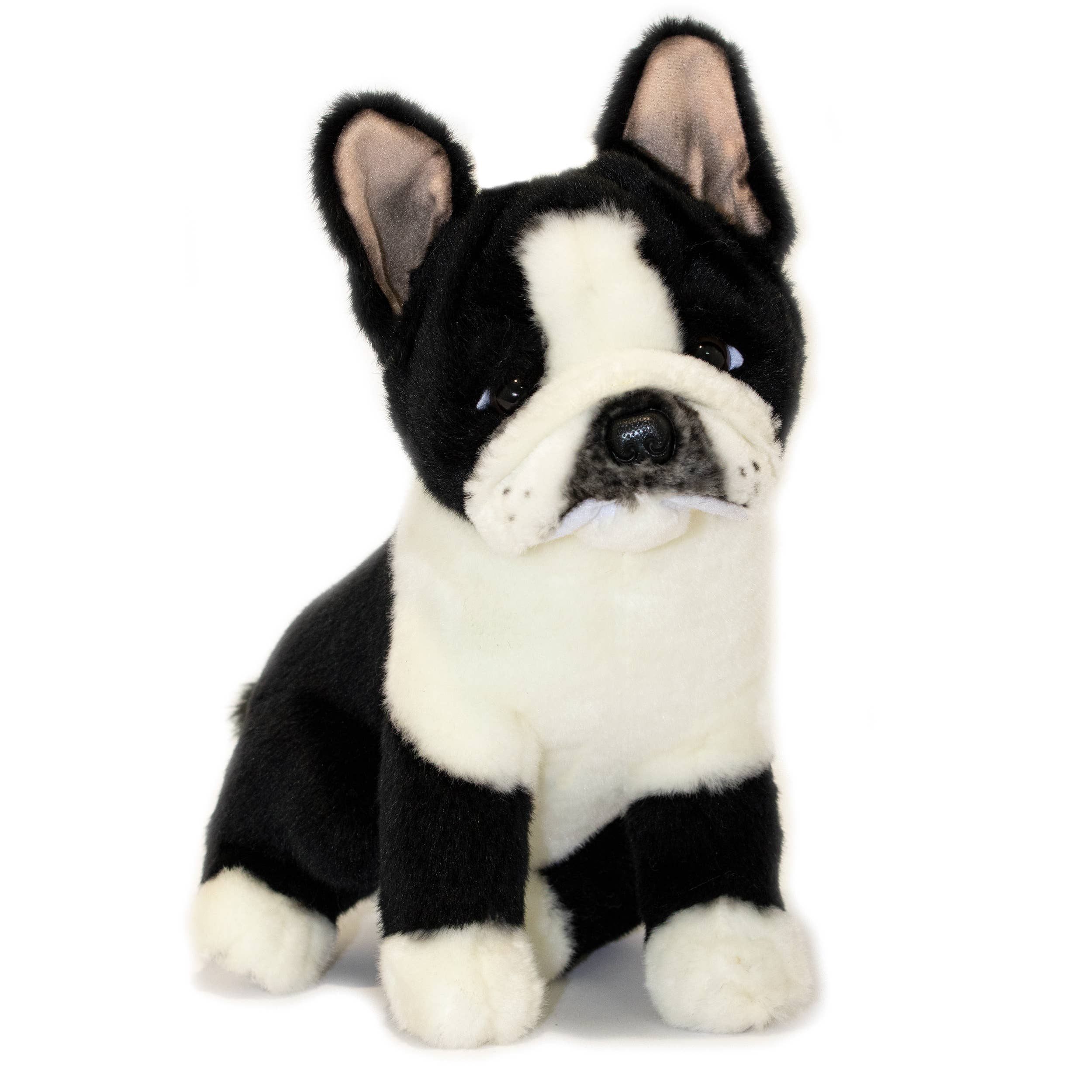 Black and White Sitting Realistic French Bulldog Size 30cm/12、mySite、g9winljtr