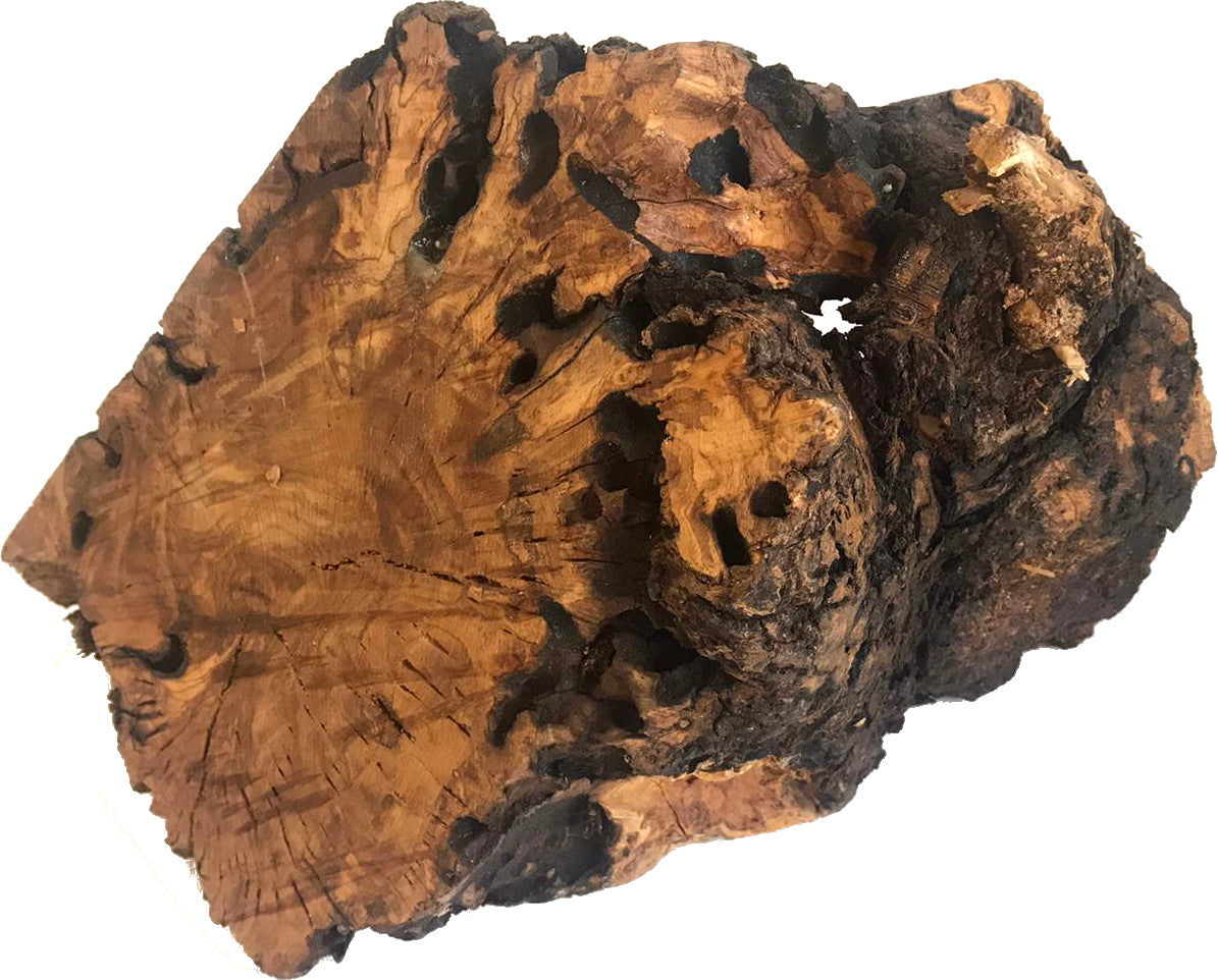  Holy Land Market Unique Olive Wood Nativity Set with Carved in by Hand Rustic Stable - no Two Alike、mySite、elrpsem3k