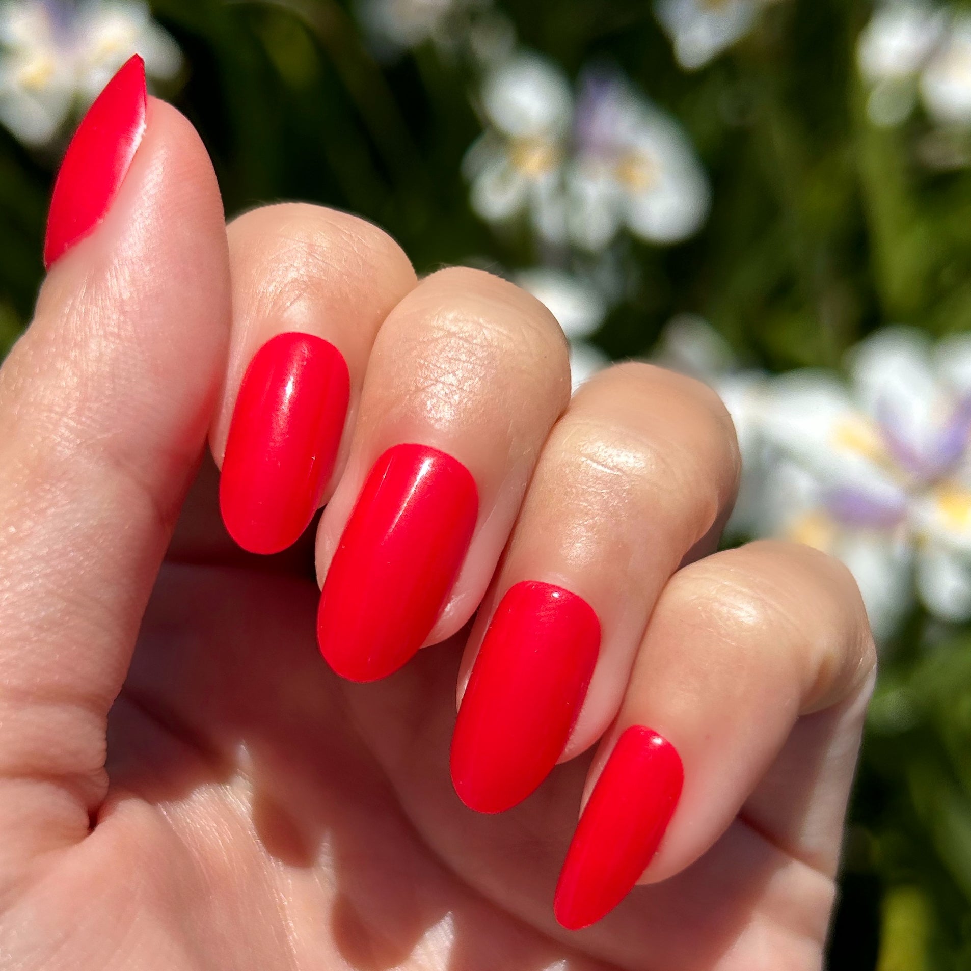 Hibiscus - Press-On | Medium | Oval、mySite、solidvoid