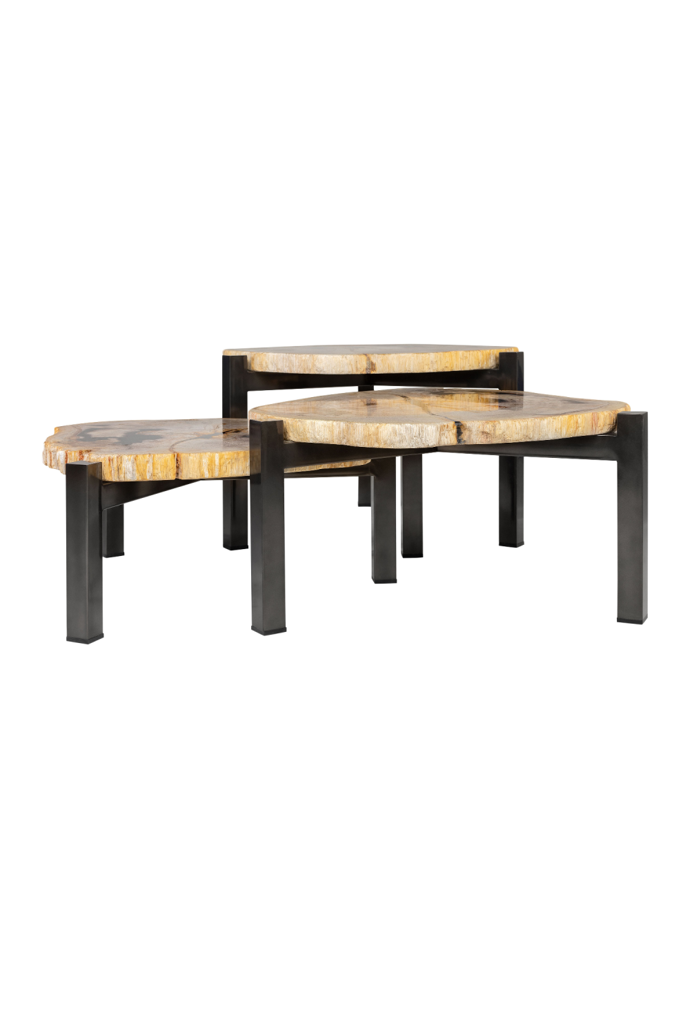 Petrified Wood Nested Coffee Tables (3) | Versmissen、mySite、neckold