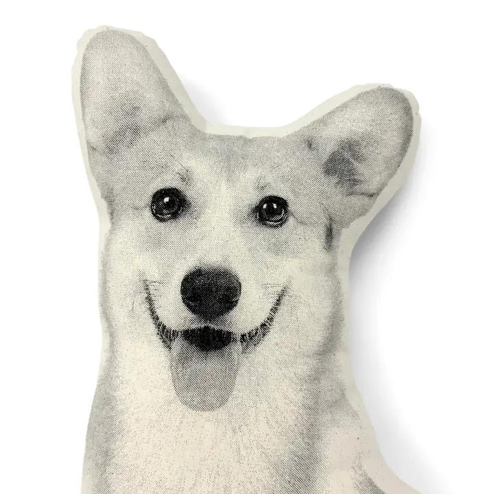 Corgi Pillow、mySite、g9winljtr