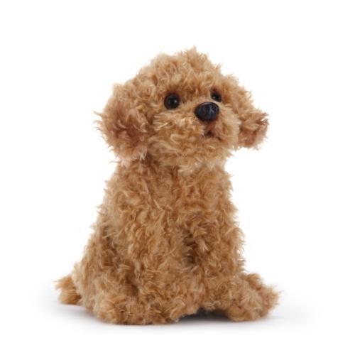 Plush Mixed Breeds: Maltipoo, Terrier Mix, & Labradoodles、mySite、g9winljtr