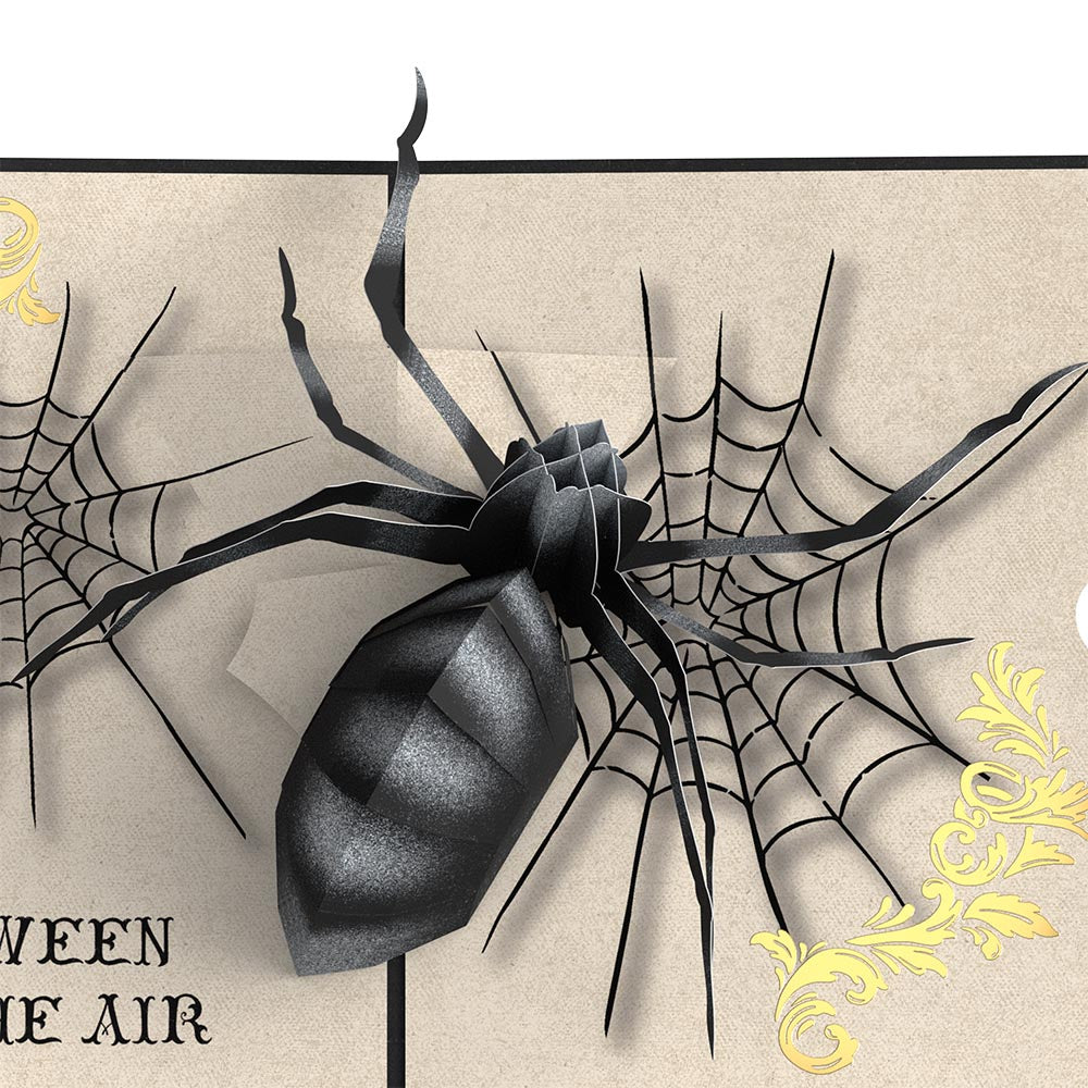 Beware Halloween Spider Pop-Up Card、mySite、solidvoid