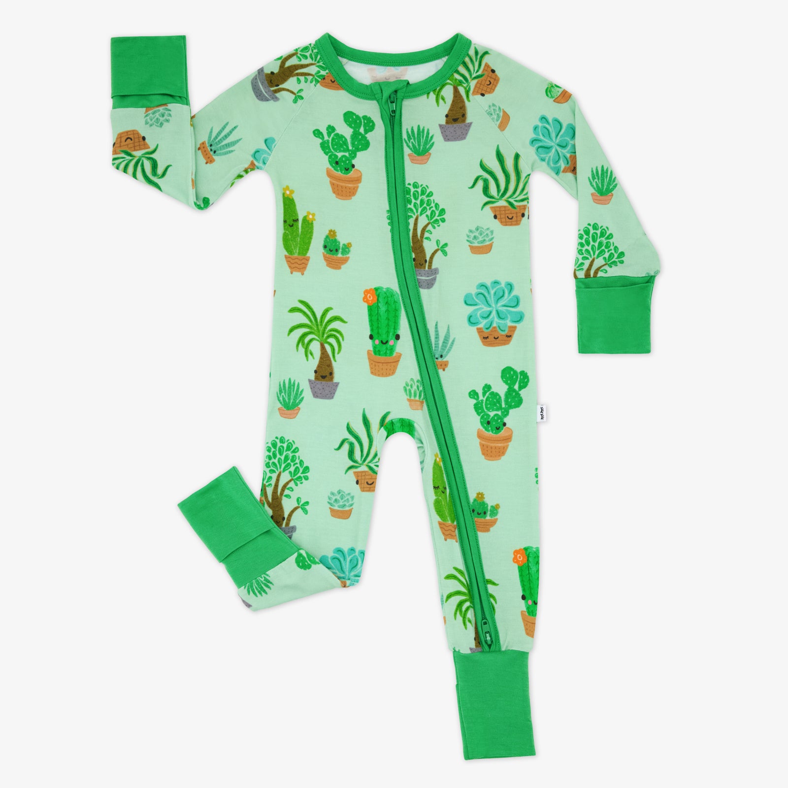 Succulent Love Zippy、mySite、g9winljtr