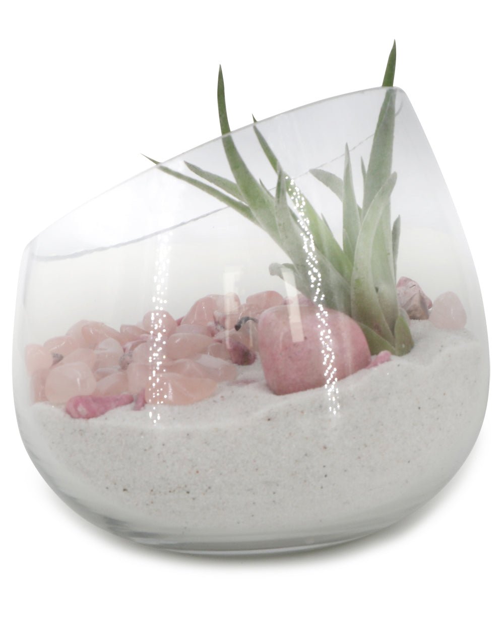 Rose Quartz And Rhodonite Healing Love Terrarium with Air Plant、mySite、topwebapps