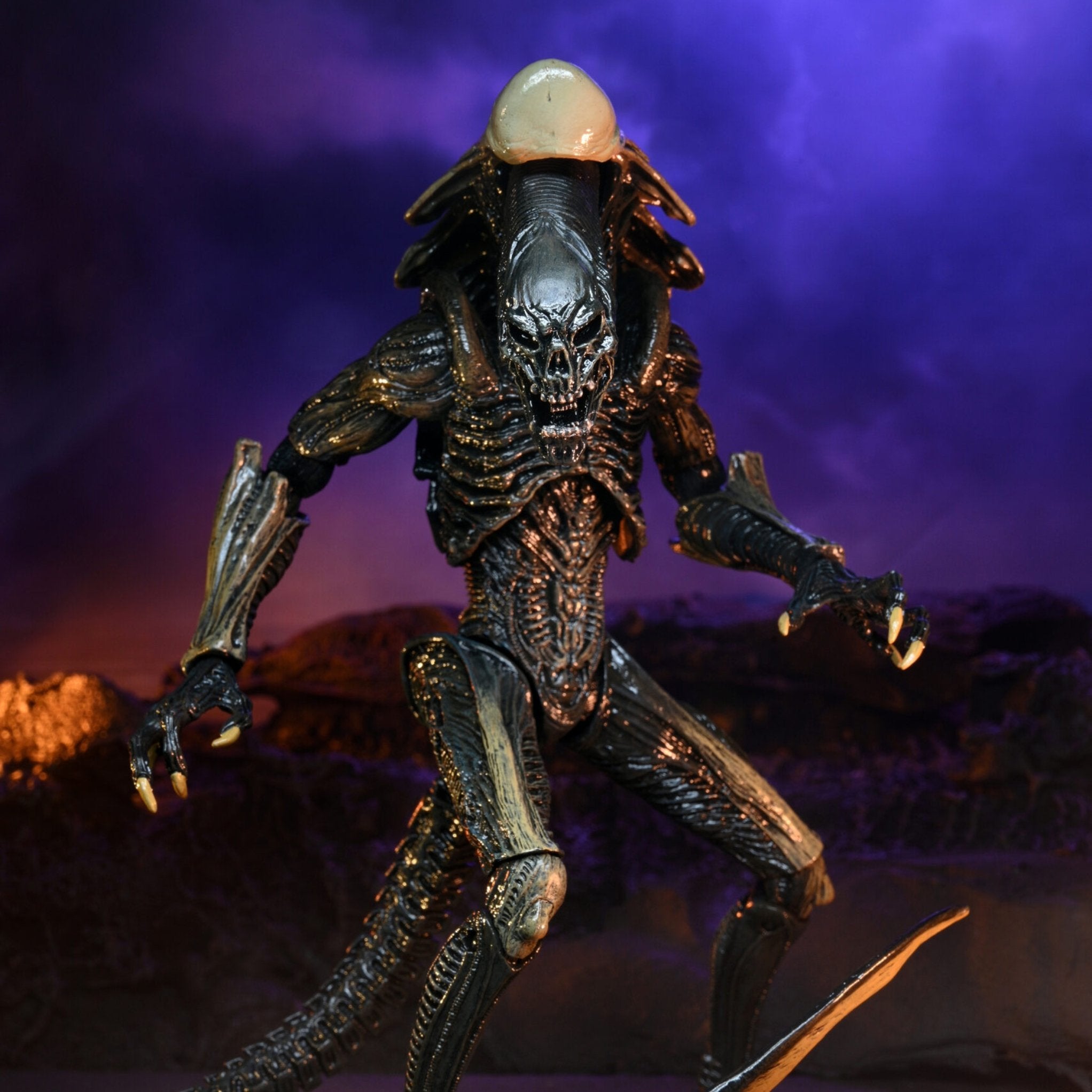 NECA Alien vs. Predator Chrysalis (Movie Deco)、mySite、hgirdovlk