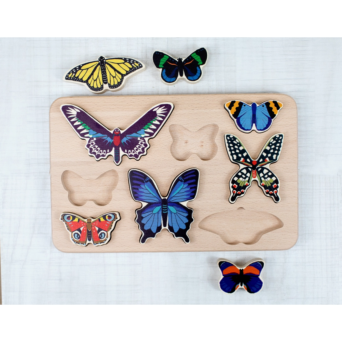 World of Butterflies Puzzle、mySite、g9winljtr