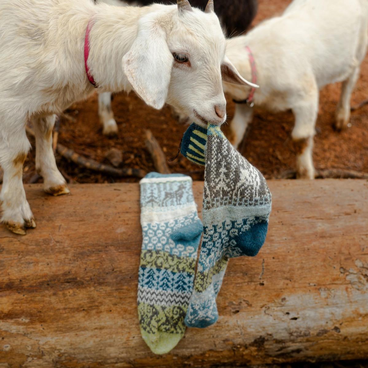 Goat Crew Socks (Medium)、mySite、g9winljtr