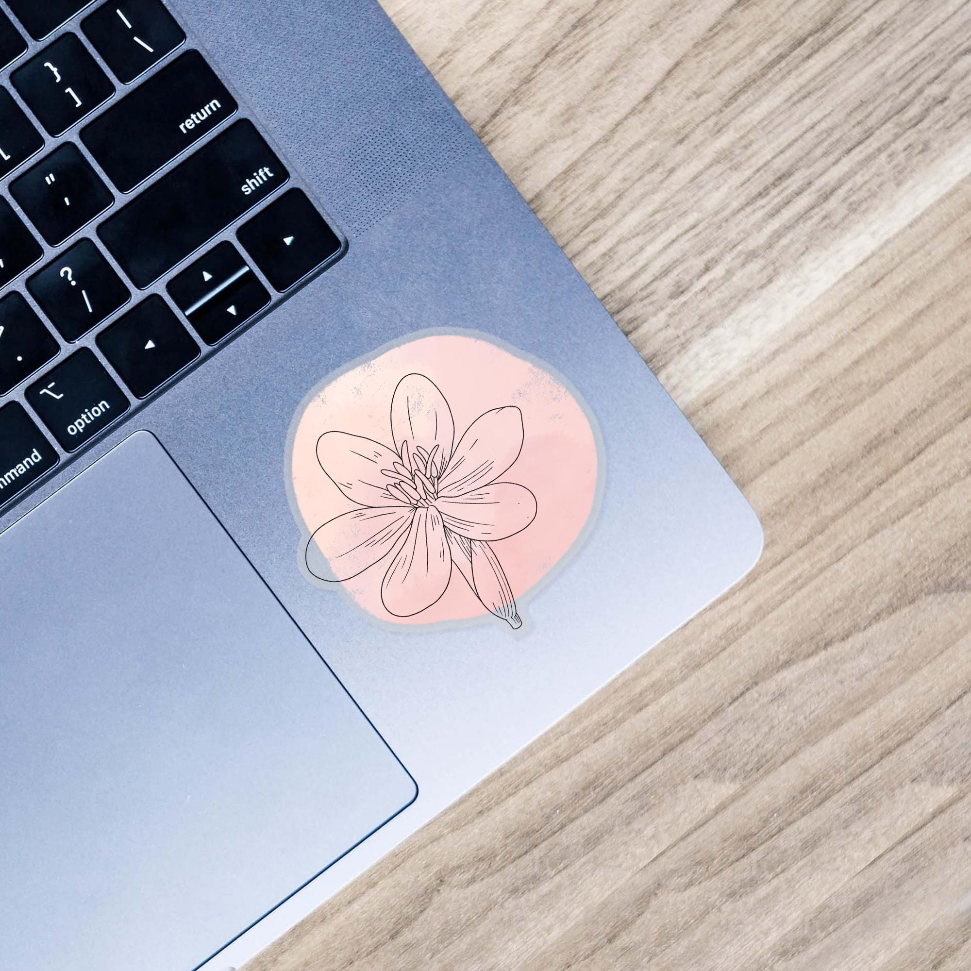  Eleutherine Bulbosa Abstract - Clear Sticker、mySite、elrpsem3k