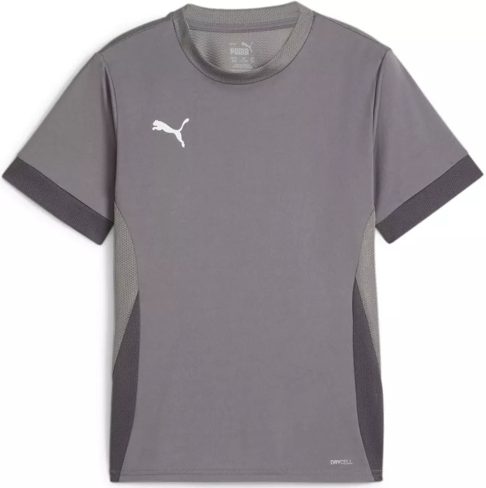 Puma TeamGoal Matchday Youth Jersey - Grey GRAY、mySite、noshort