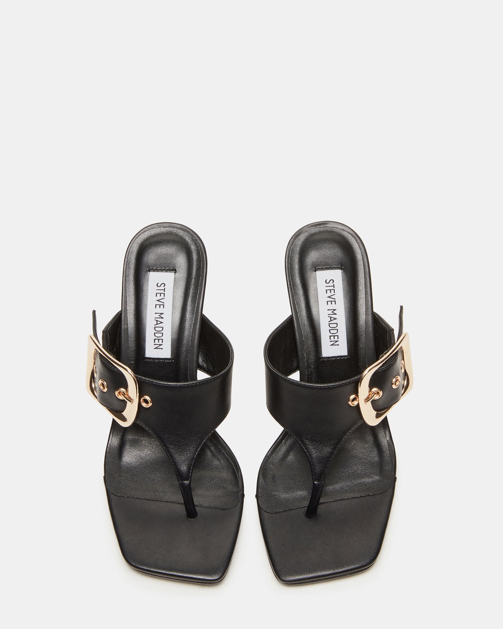 CHELLE BLACK LEATHER - SM REBOOTED、mySite、gtrtttuynbv