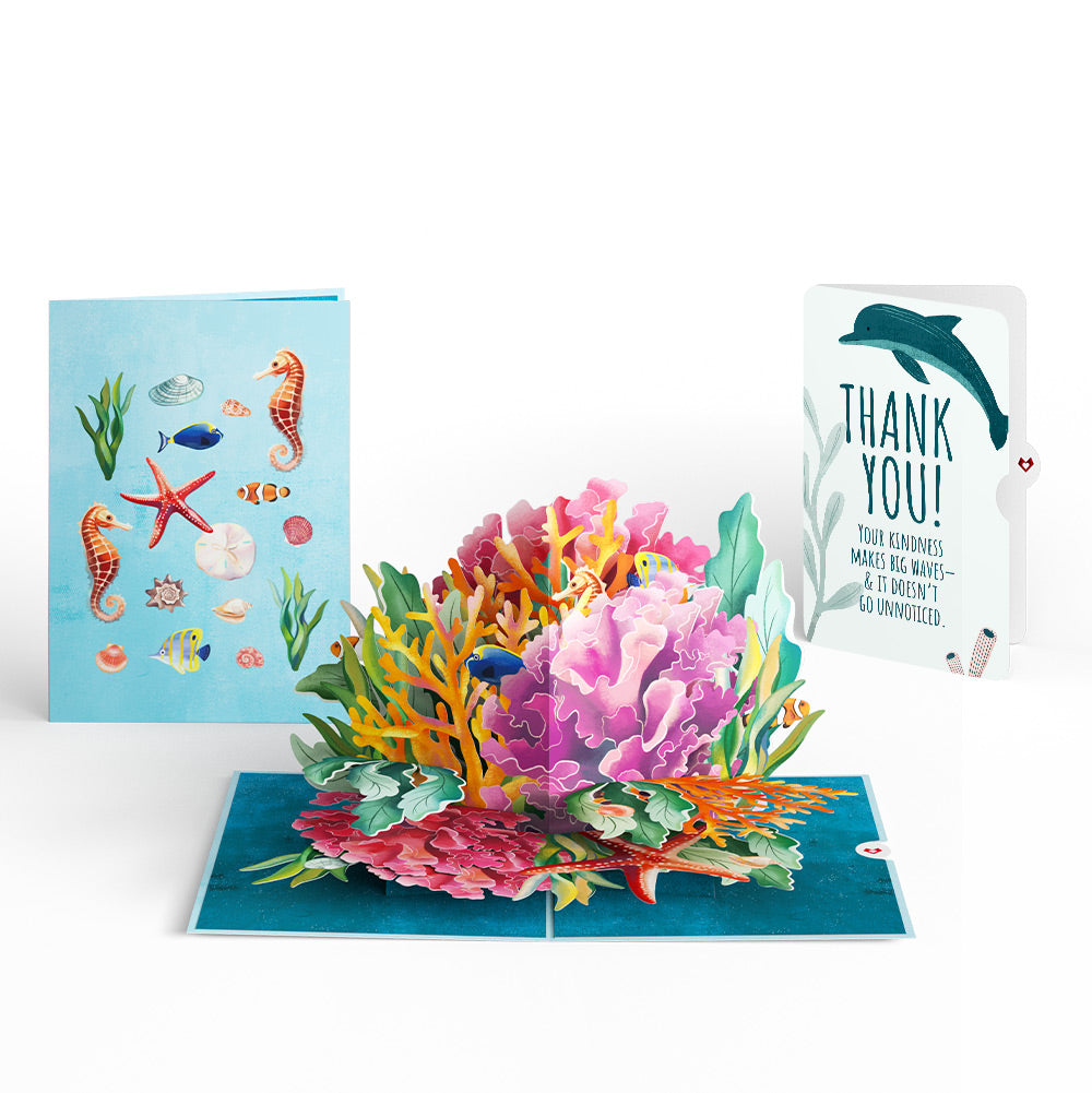 Coral Reef Wonders Thank You Pop-Up Card and Sentiment Set、mySite、solidvoid