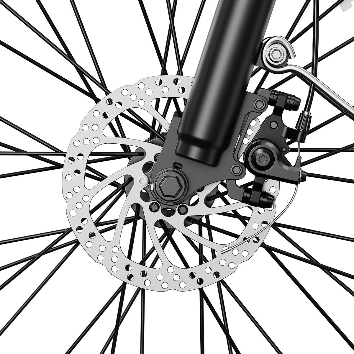 Aipas® Ebike Combo Sale C2+C1、mySite、gigharbornorthrealestate