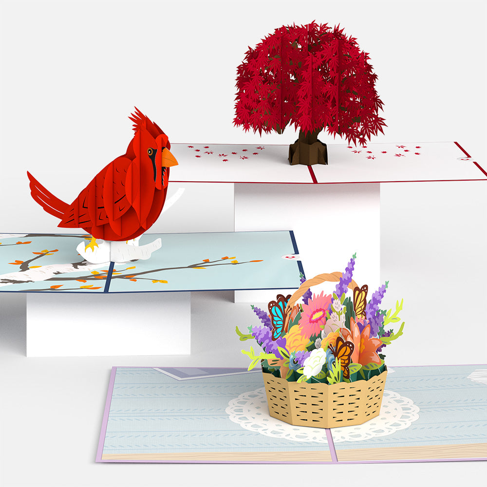 Everyday Favorites 3-Pack、mySite、solidvoid