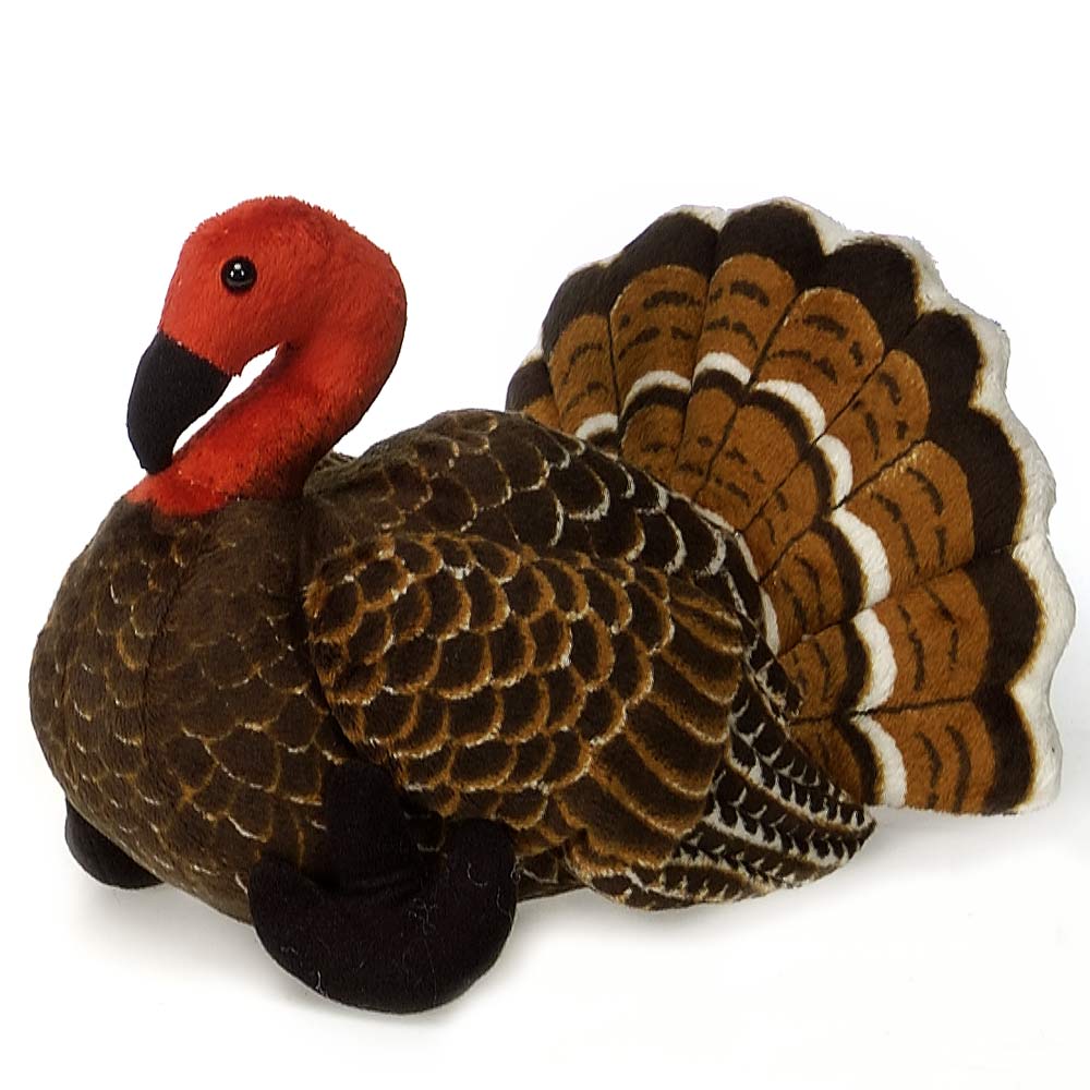 9 Brown Turkey、mySite、g9winljtr