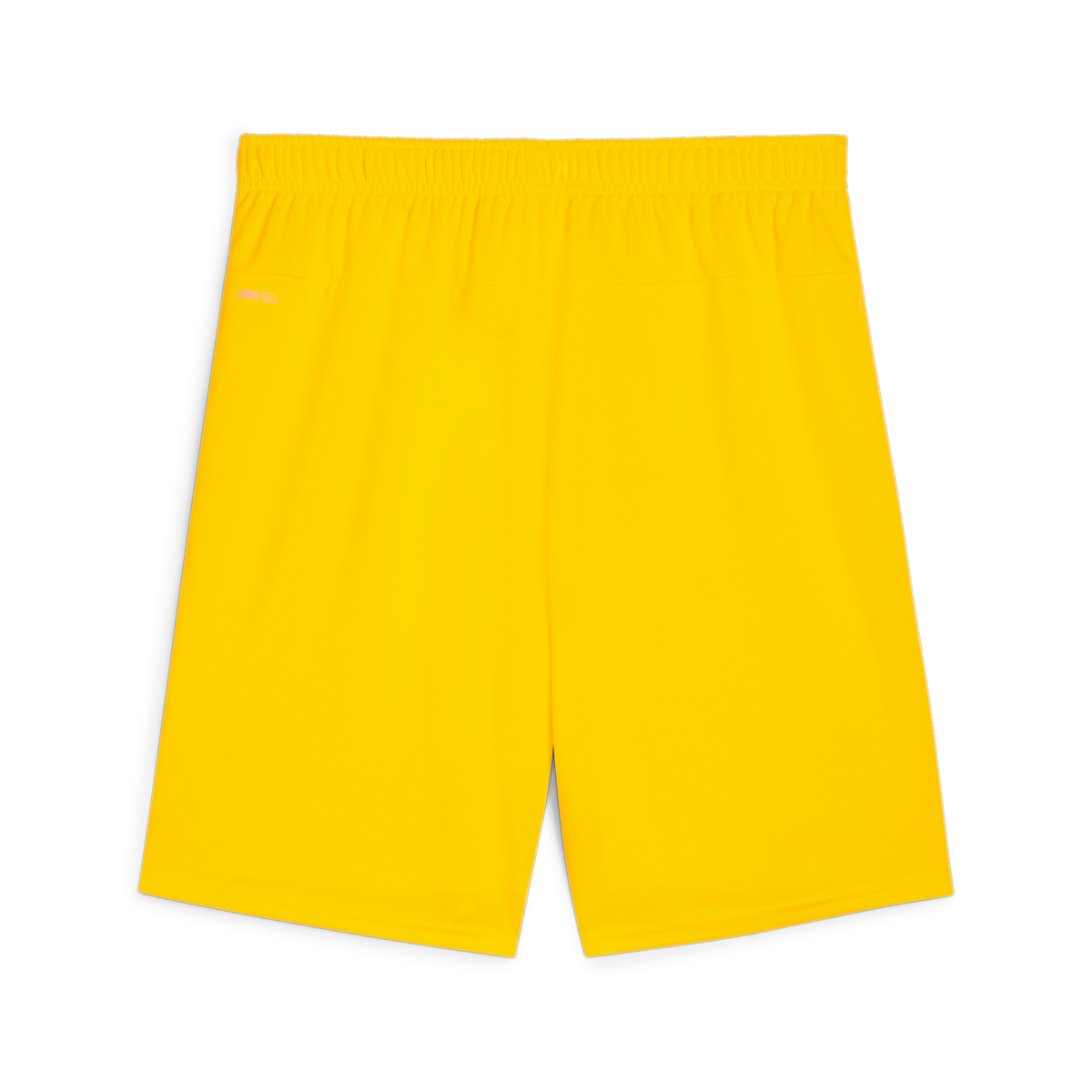 Puma Teamgoal Shorts - Yellow、mySite、noshort