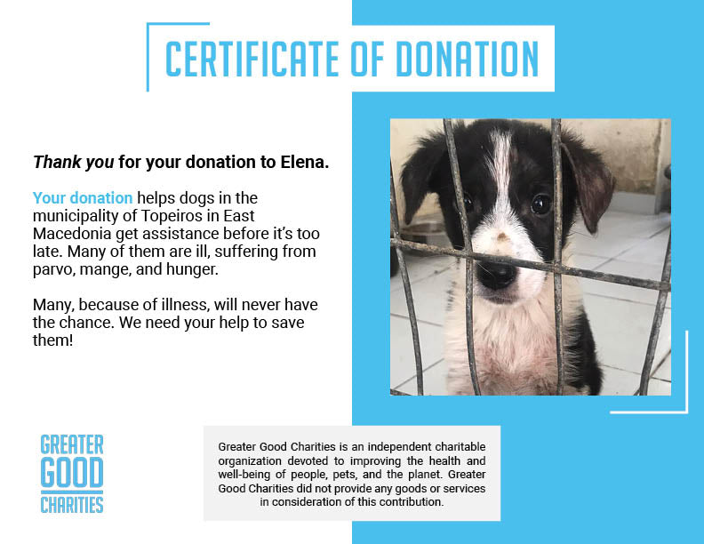 Funded: Elena Needs Your Help To Survive And Thrive、mySite、camillekostekn