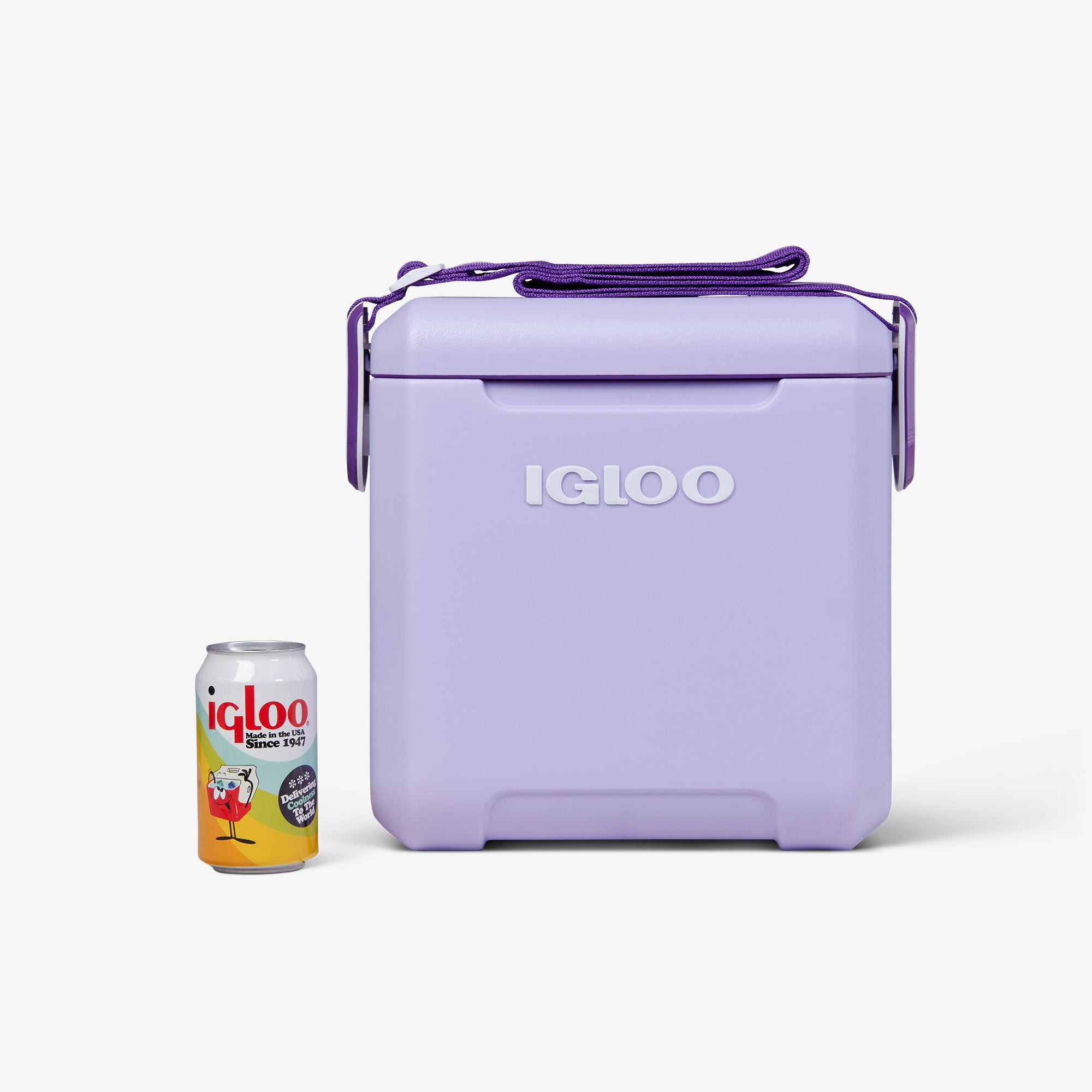 Tag Along Too Cooler、mySite、noshort