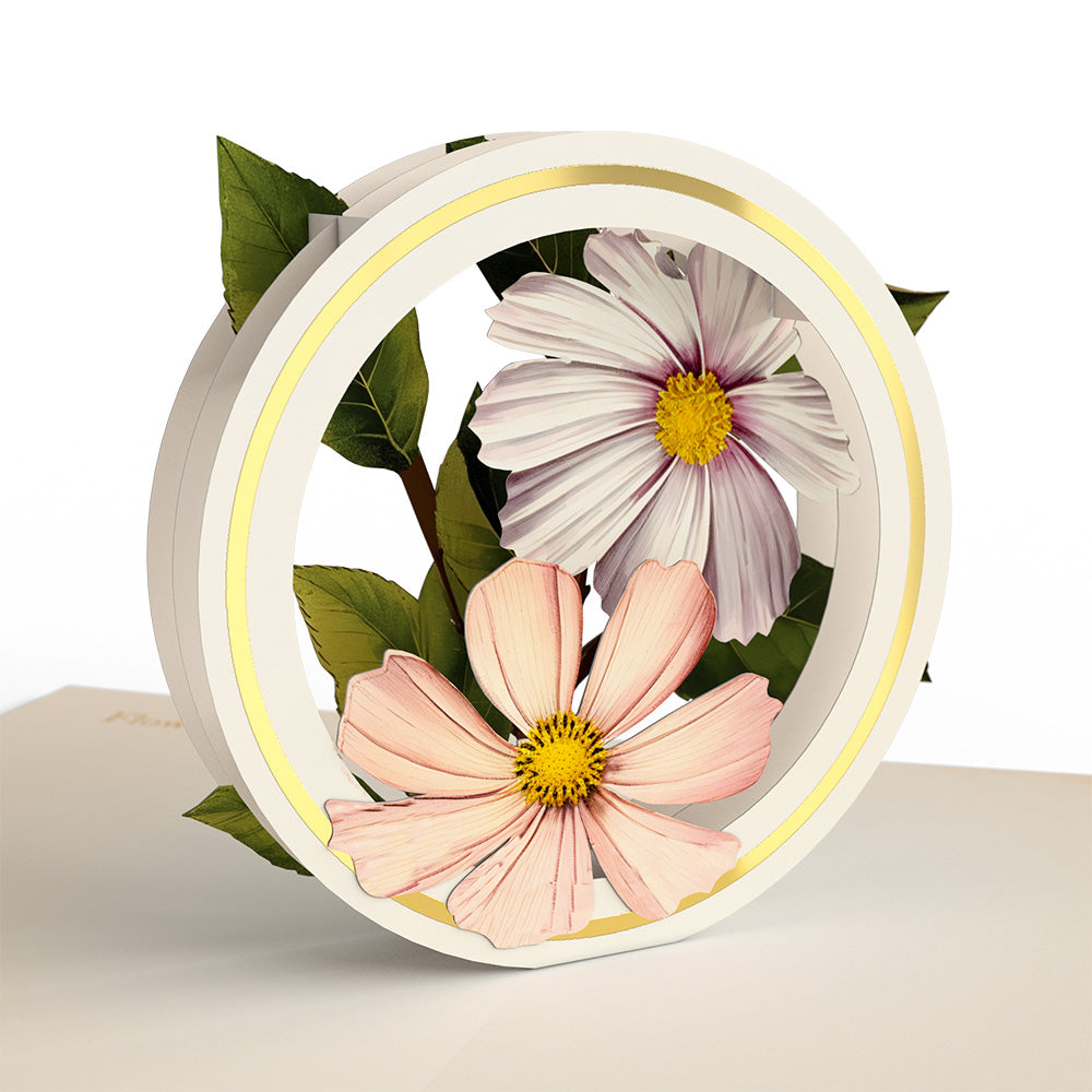 Beautiful Botanicals Box Set (Assorted 12-Pack): Paperpop® Card、mySite、solidvoid