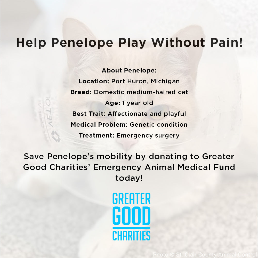 Funded - Help Penelope Play Without Pain、mySite、camillekostekn
