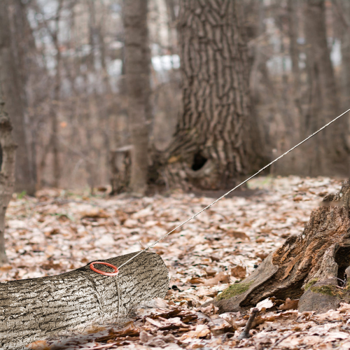 Log Choker Cable with Tow Ring,10 feet long、、eastwooduniform