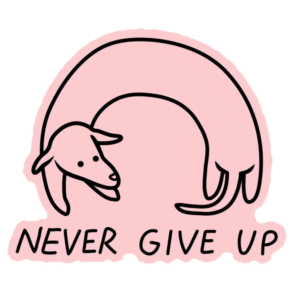  Never Give Up Vinyl Sticker Decal、mySite、ghnorth