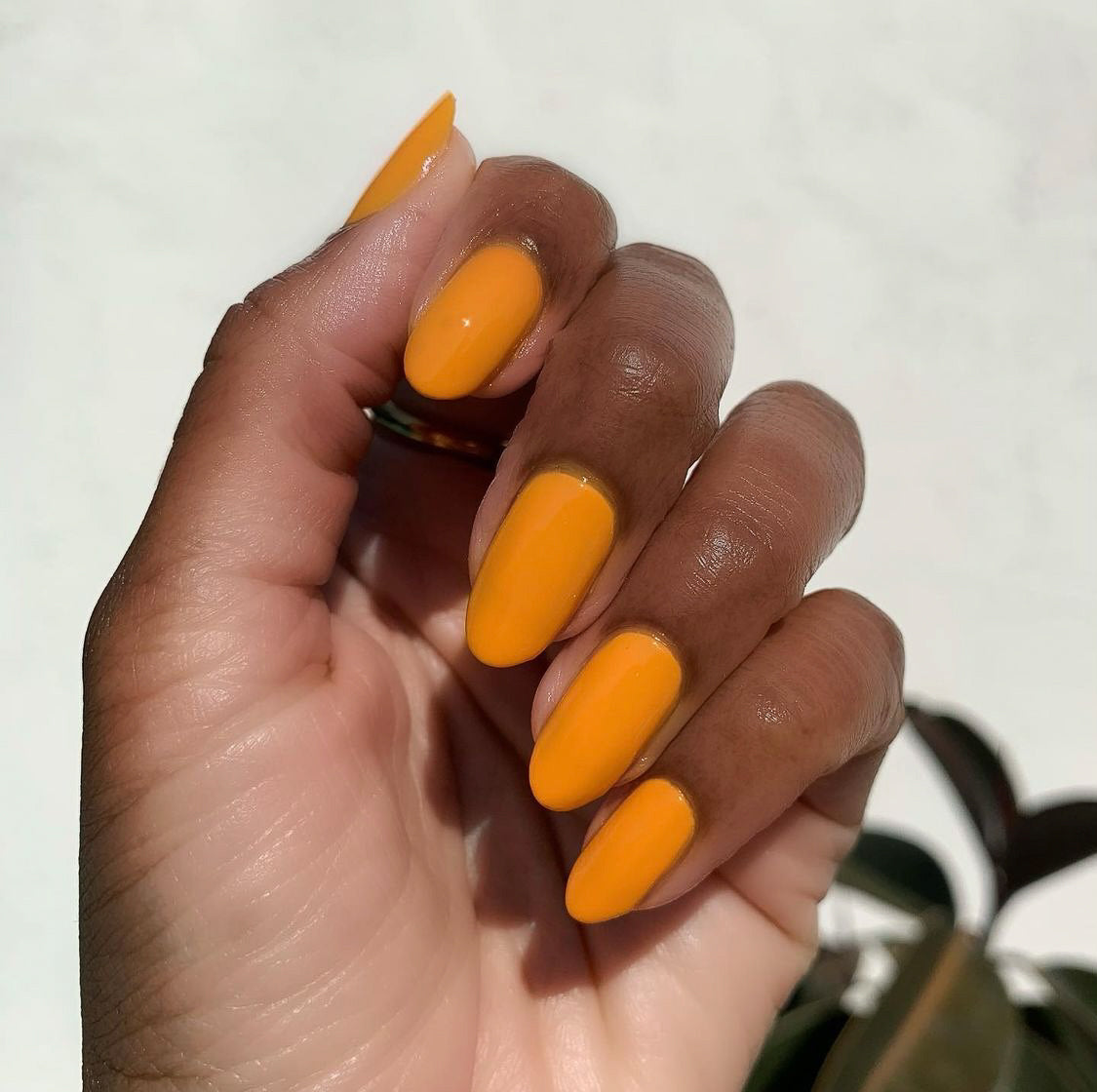 Sweet & Gracious、mySite、solidvoid